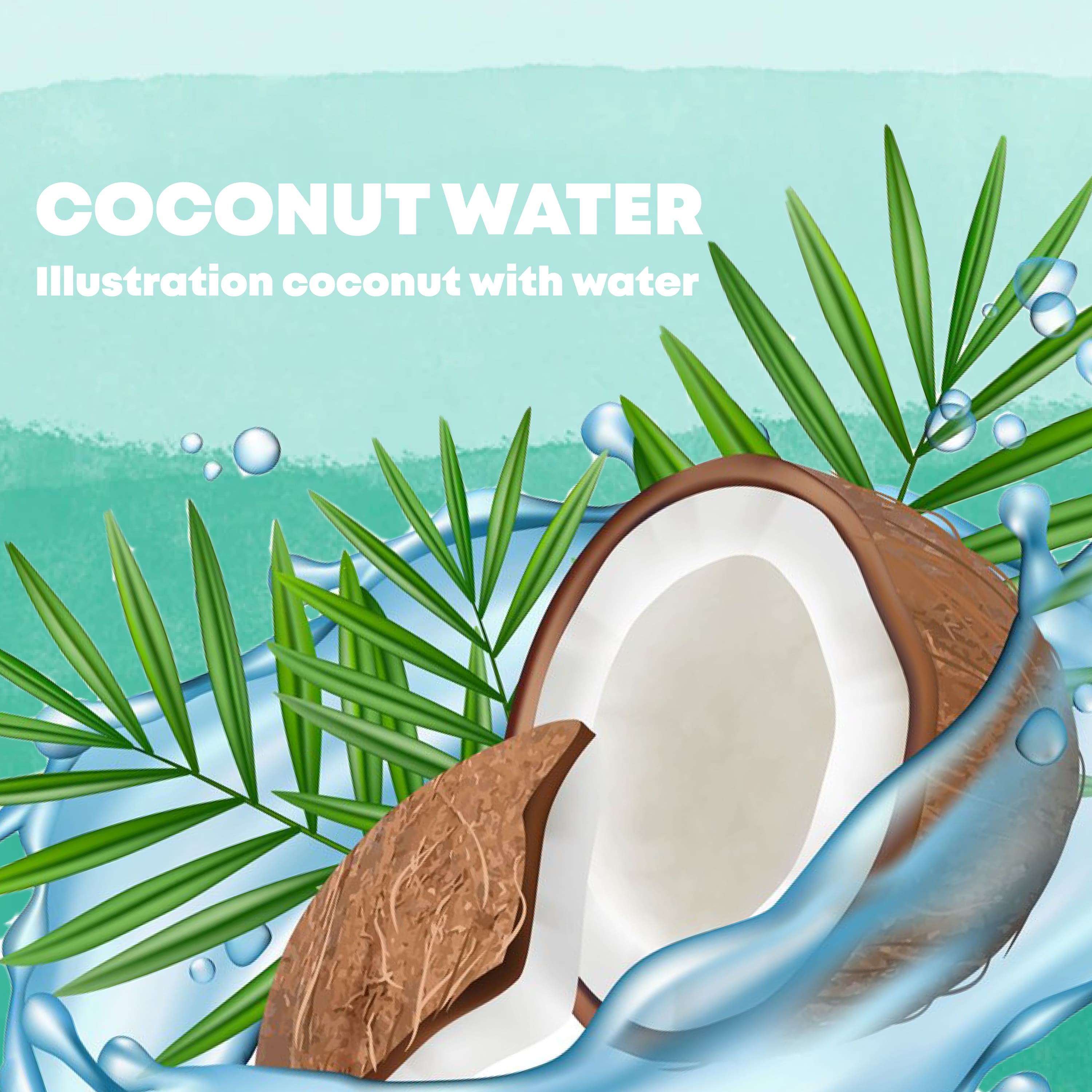 Coconut water vector concept. Realistic coconut, water splas.