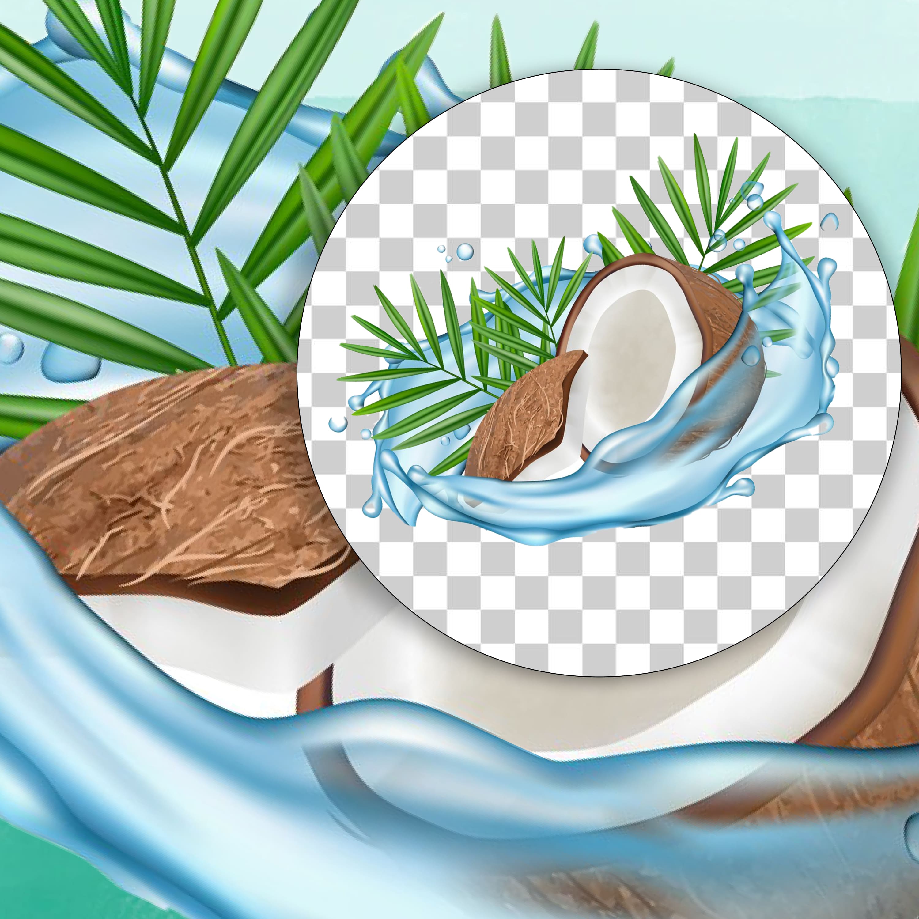 Coconut water vector concept. Realistic coconut, water splas cover.