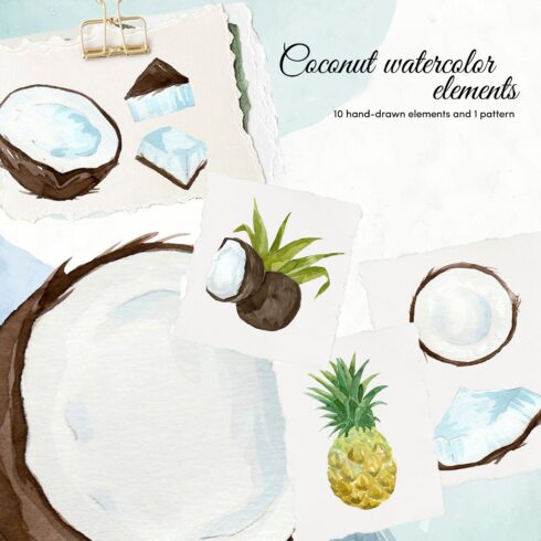 Coconut watercolor elements.
