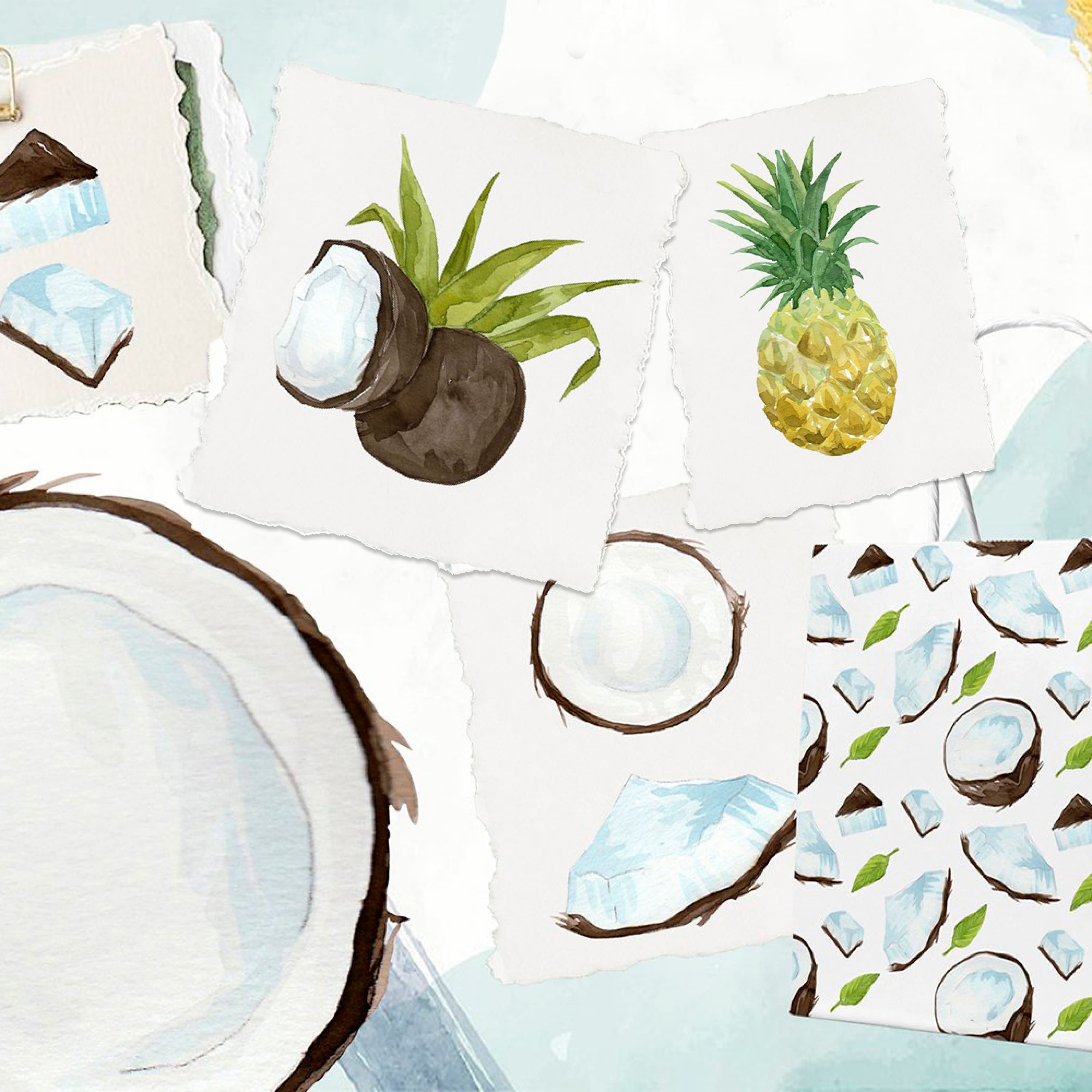 Coconut watercolor elements cover.