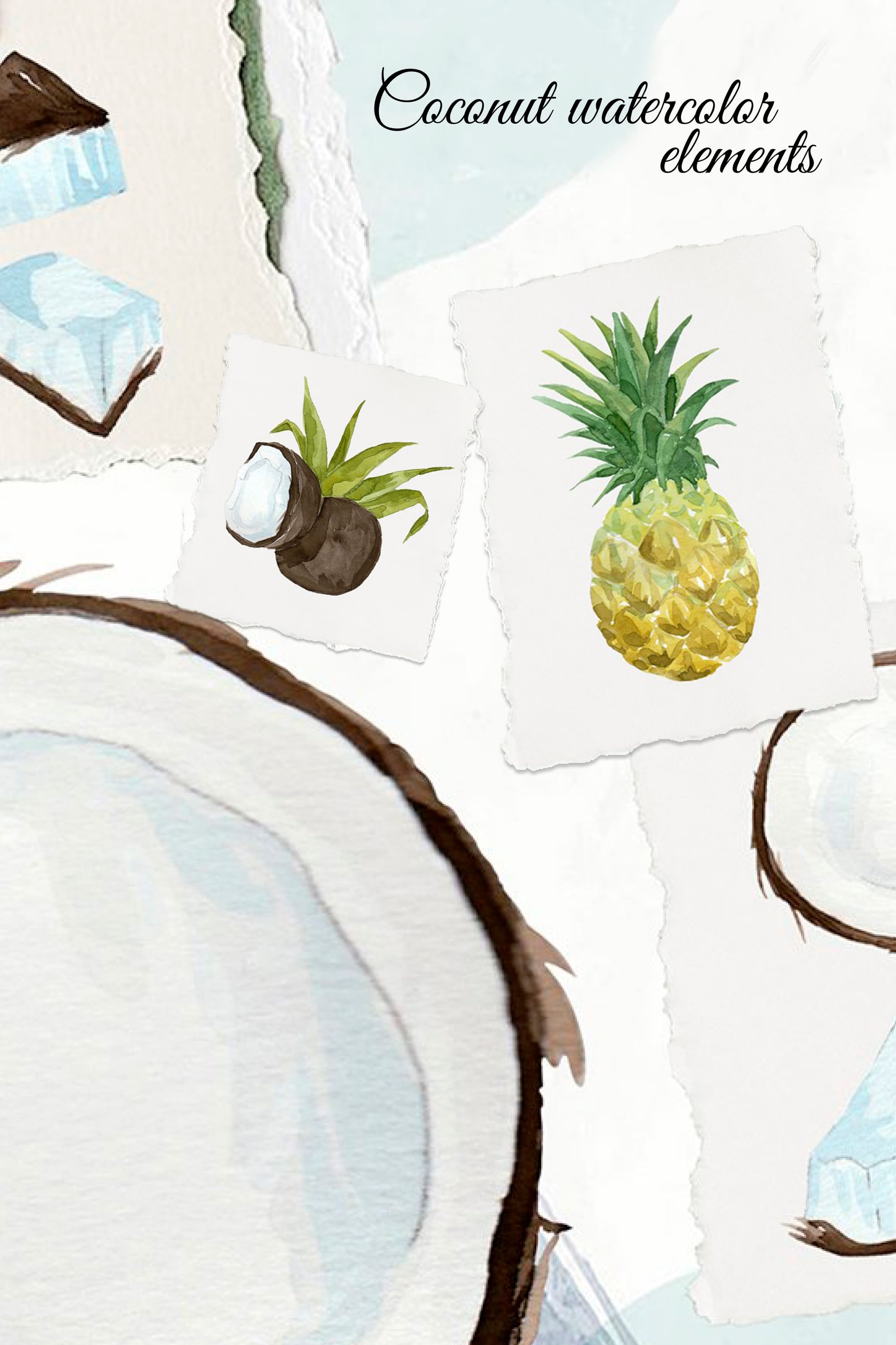 coconut watercolor elements pinterest