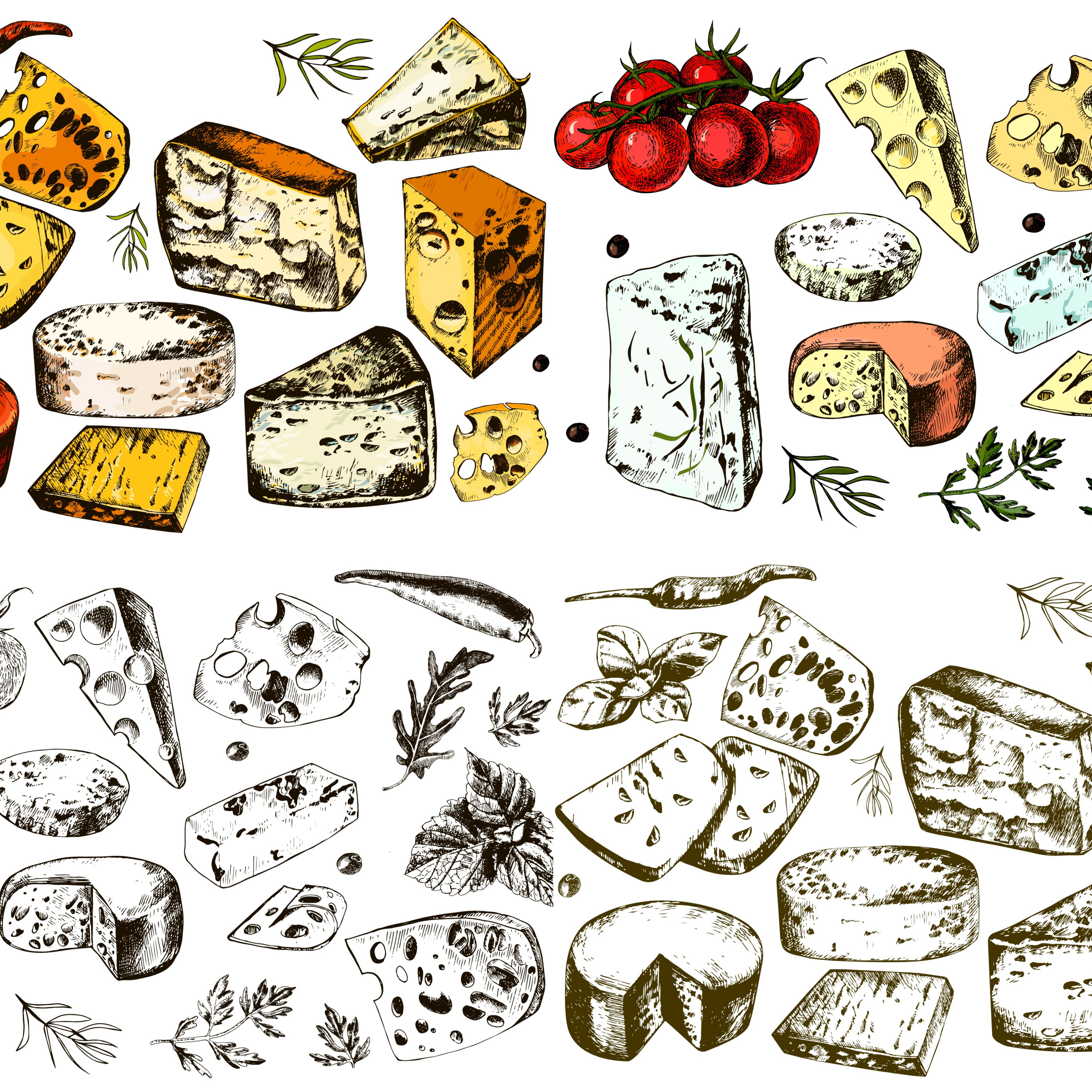 Set of colorful images of different varieties of hard cheese.
