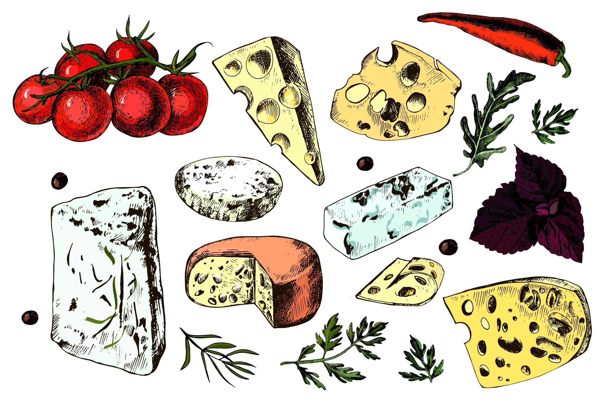Colorful image of varieties of hard cheese and vegetables drawn in bright colors.