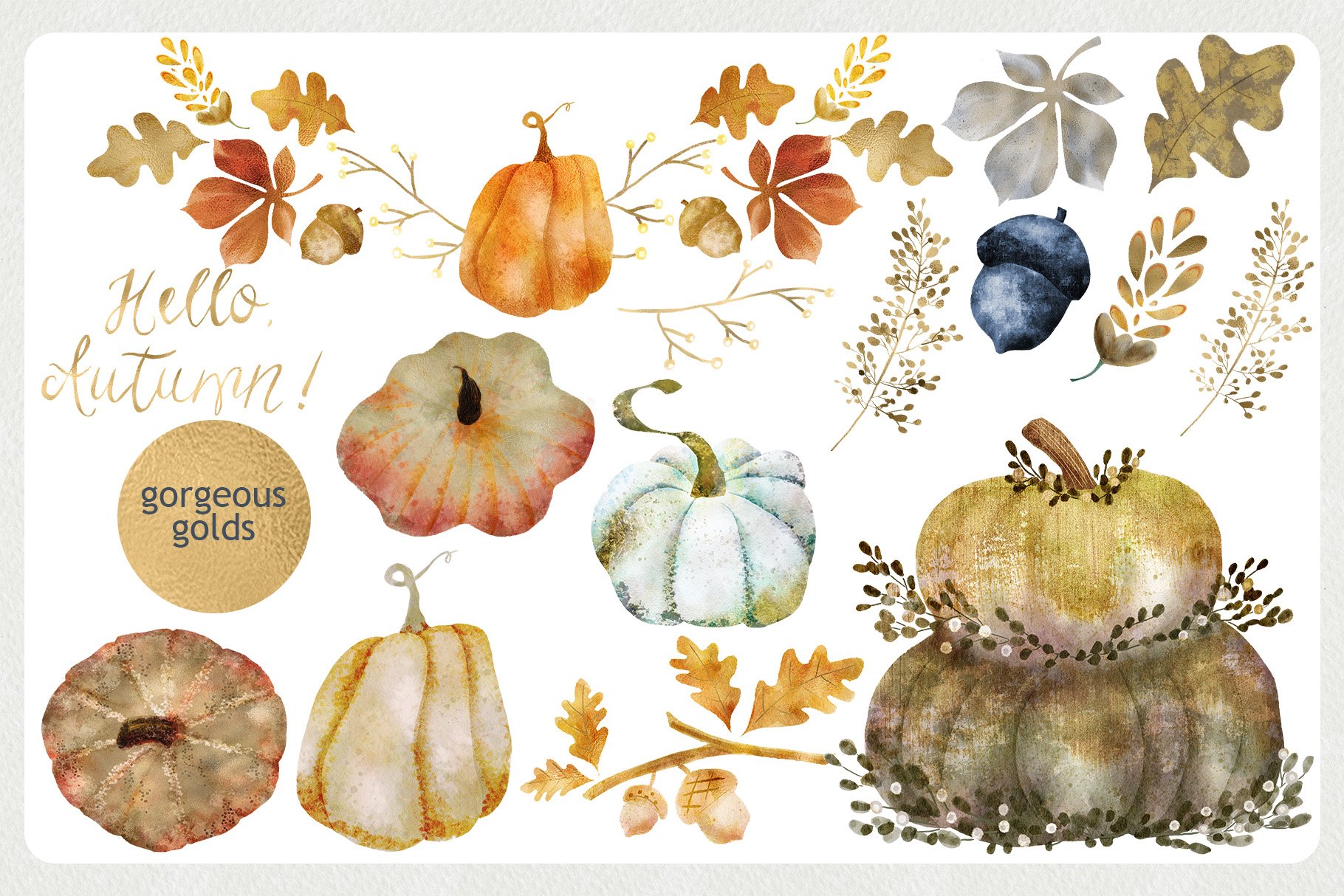 Diverse of fall elements for a beautiful illustration.