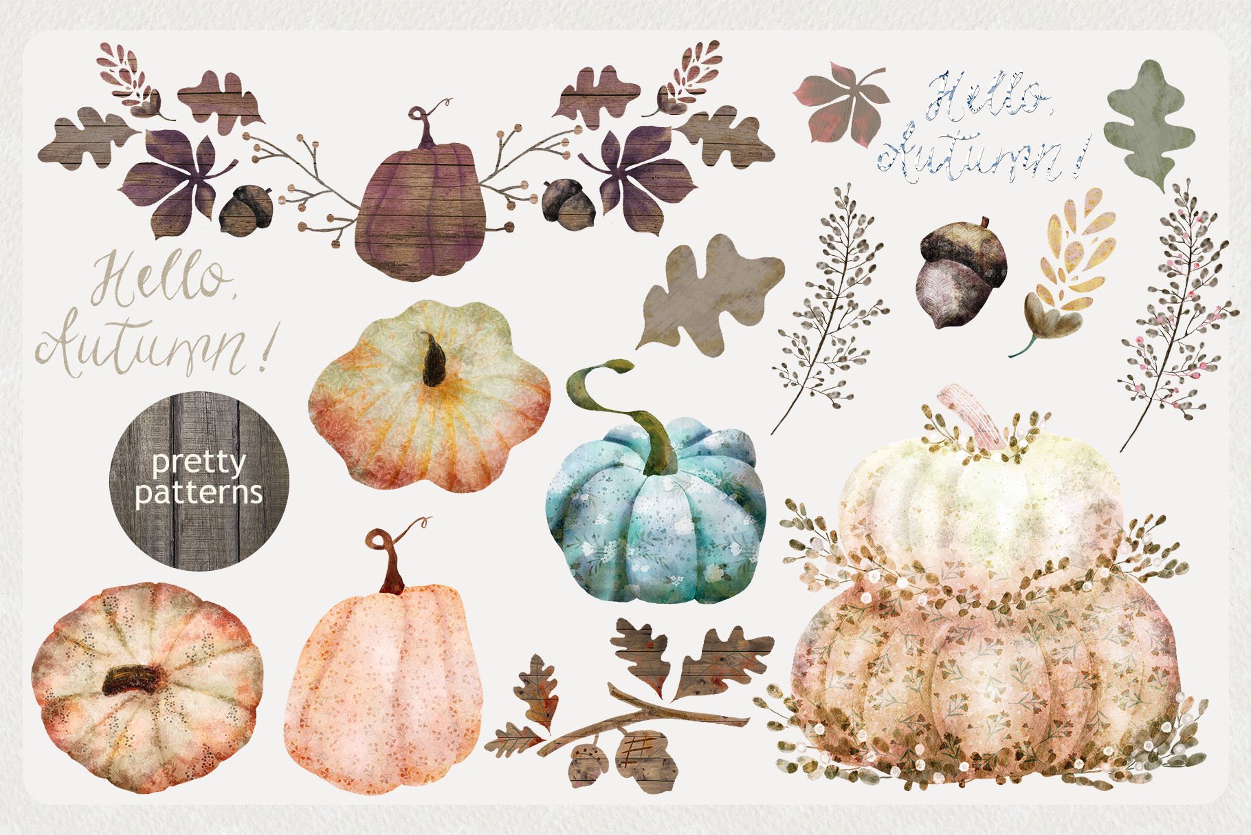 Nice autumn collection with pumpkins and other items.