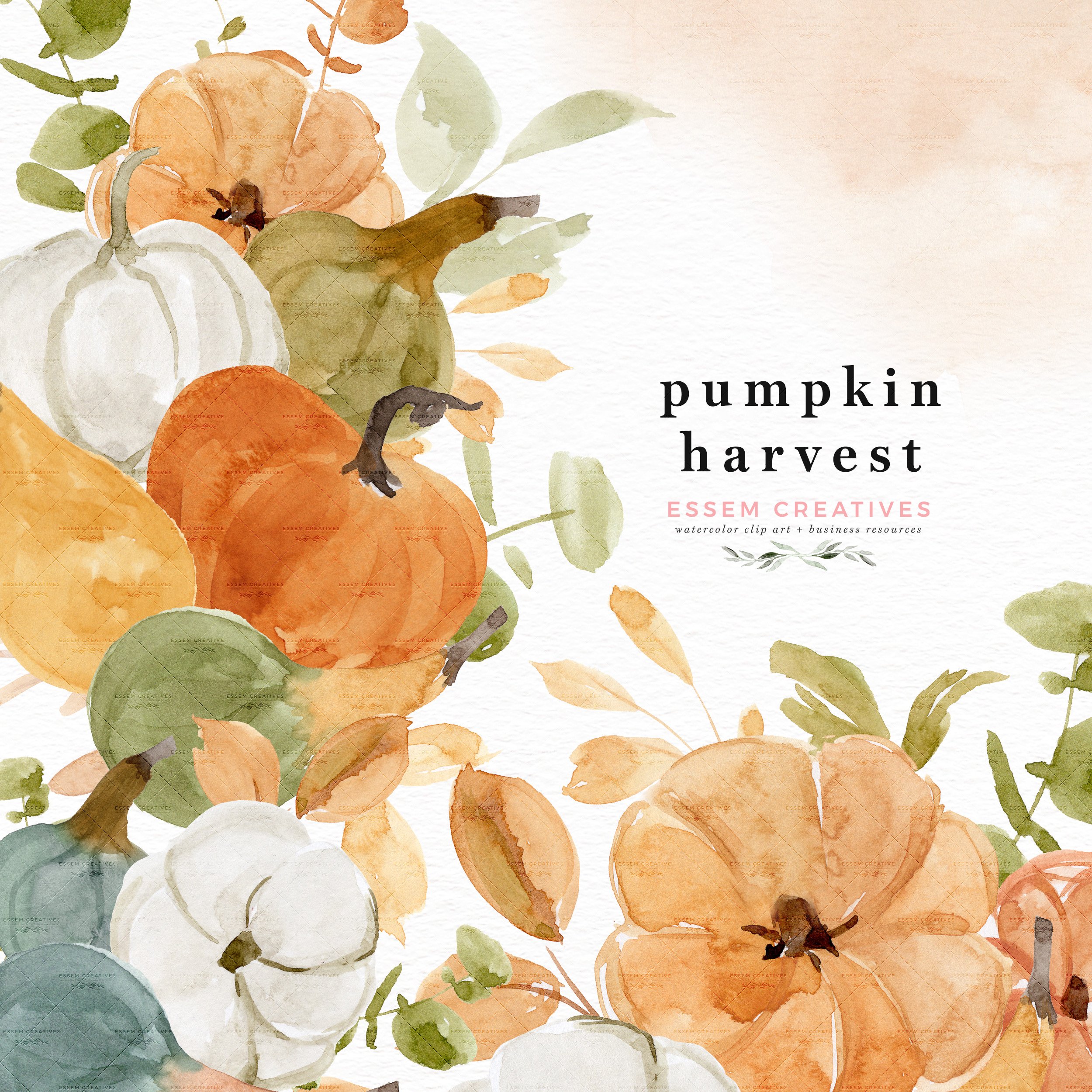 Watercolor pumpkin illustration in an autumn style.