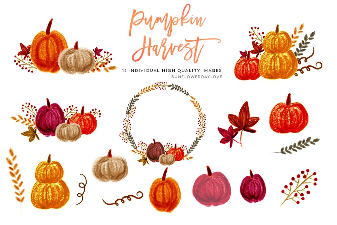 Diverse of pumpkins for a magic autumn illustration.