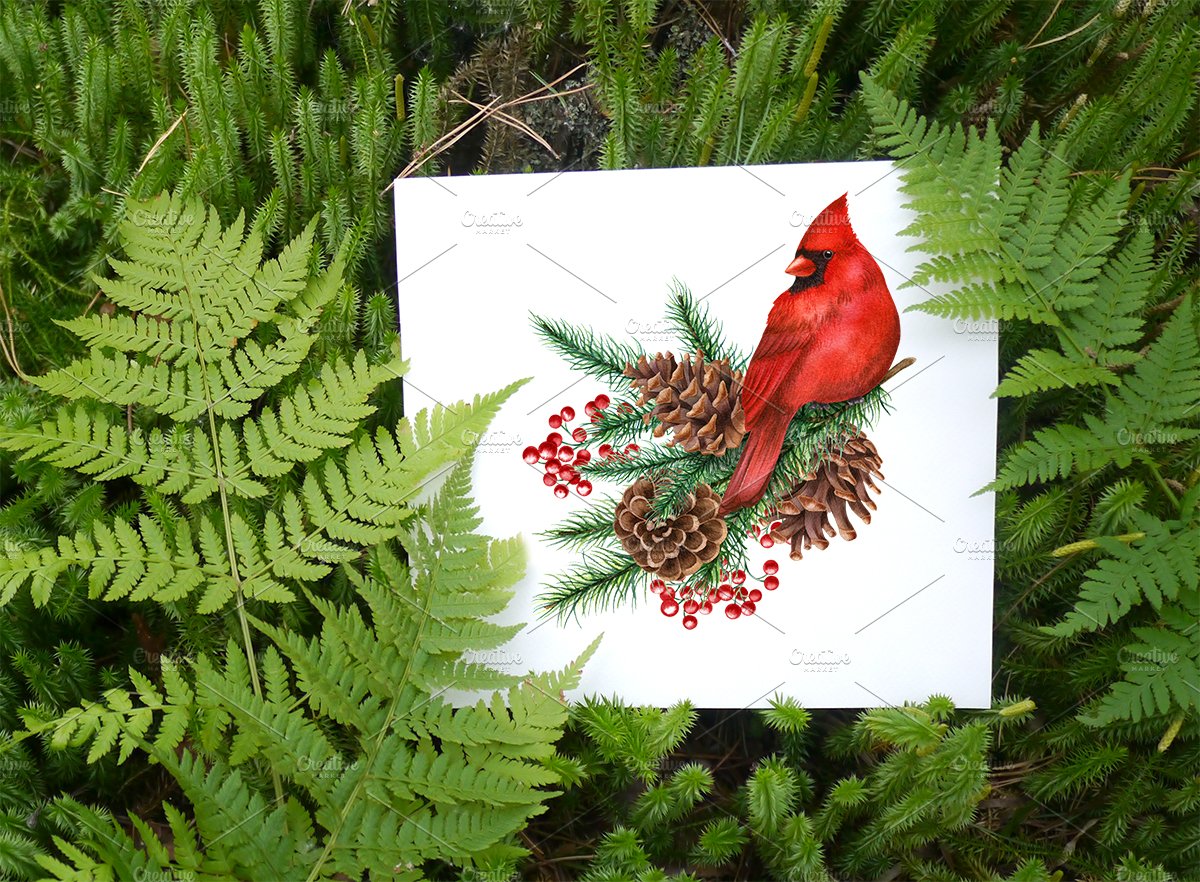 Perfect Christmas card in traditional colors.
