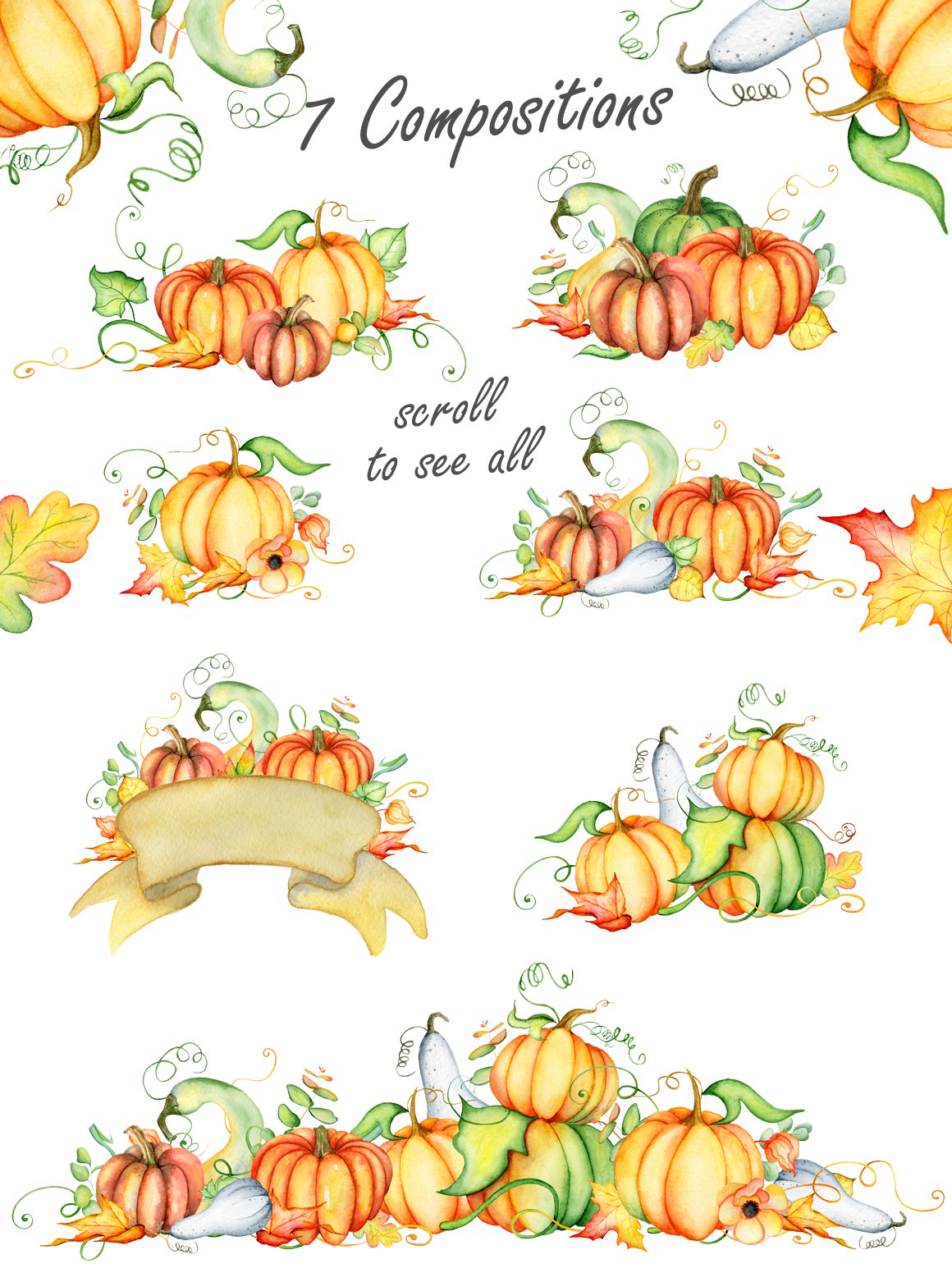 Diverse of small pumpkins compositions.