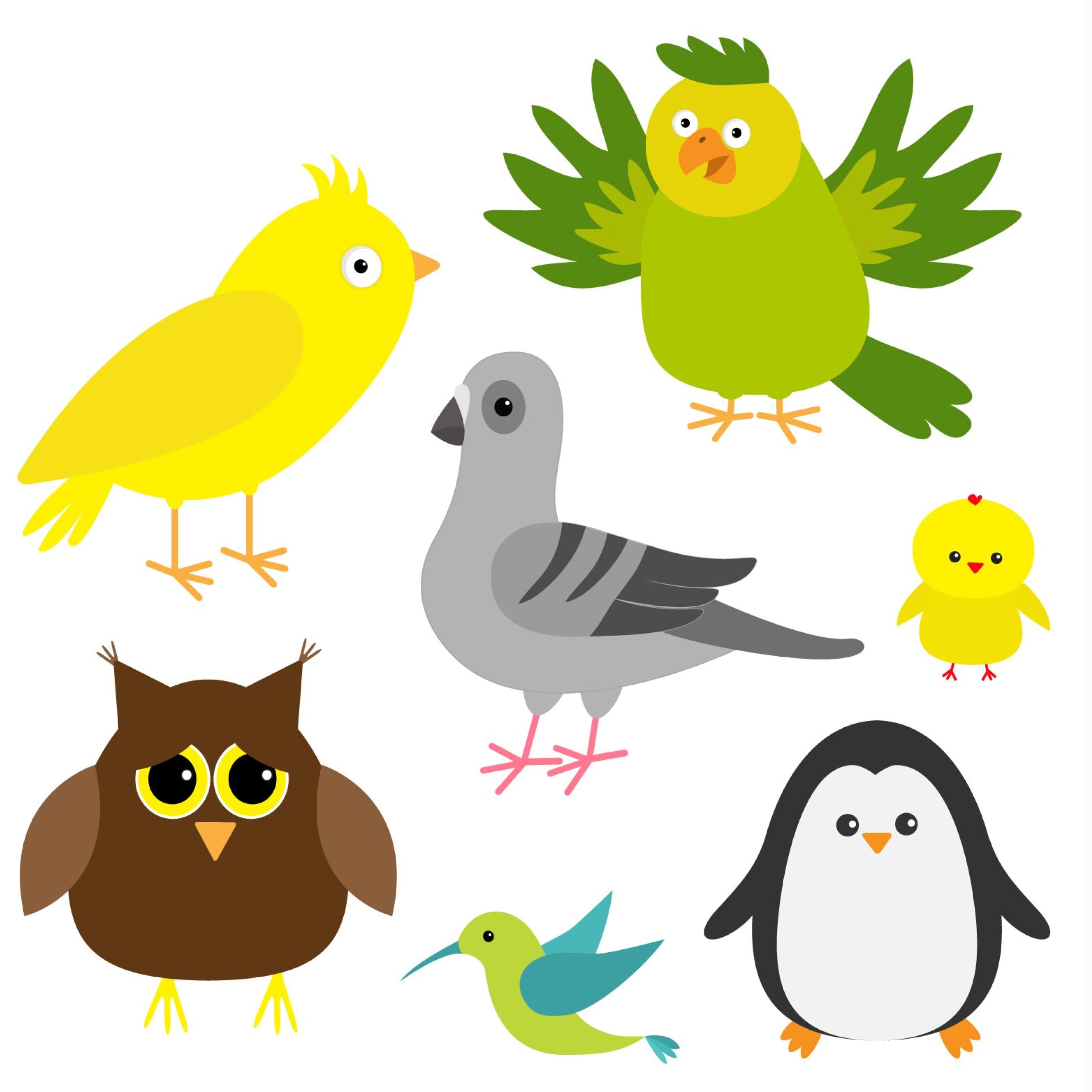Cute cartoon bird set. Vector illustration cover.