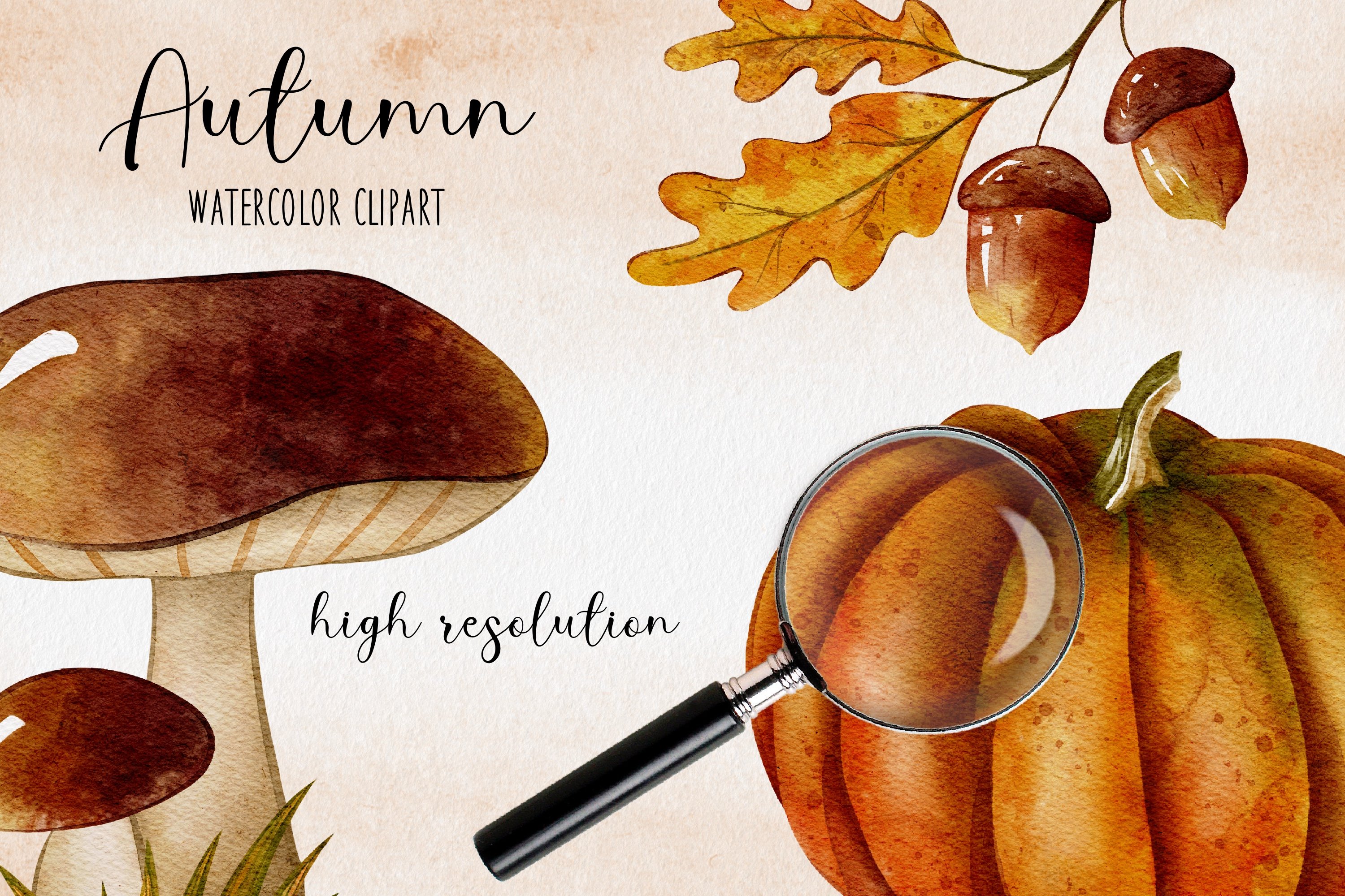 Some autumn elements in a warm color.