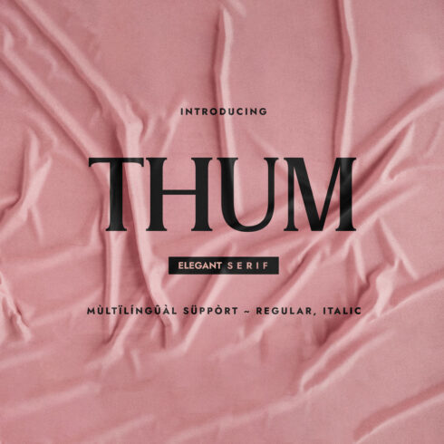 Thum Elegant Serif Font pink cover.