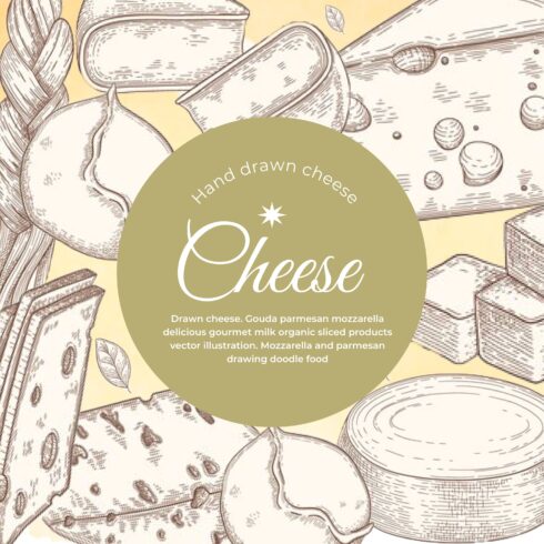 Excellent image of pieces of hard cheese on a bright background.