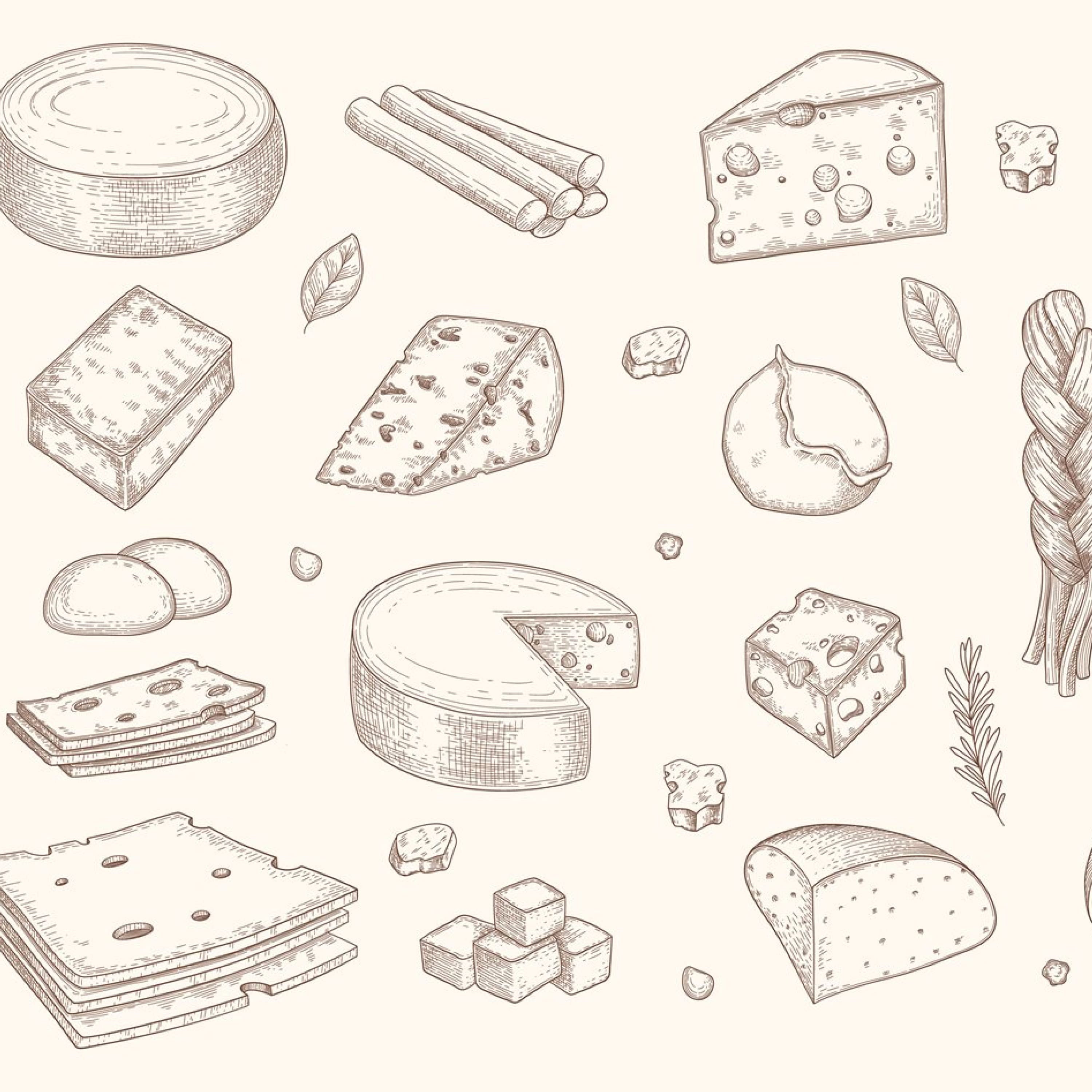 Set of hand-drawn colorful images of hard cheese.