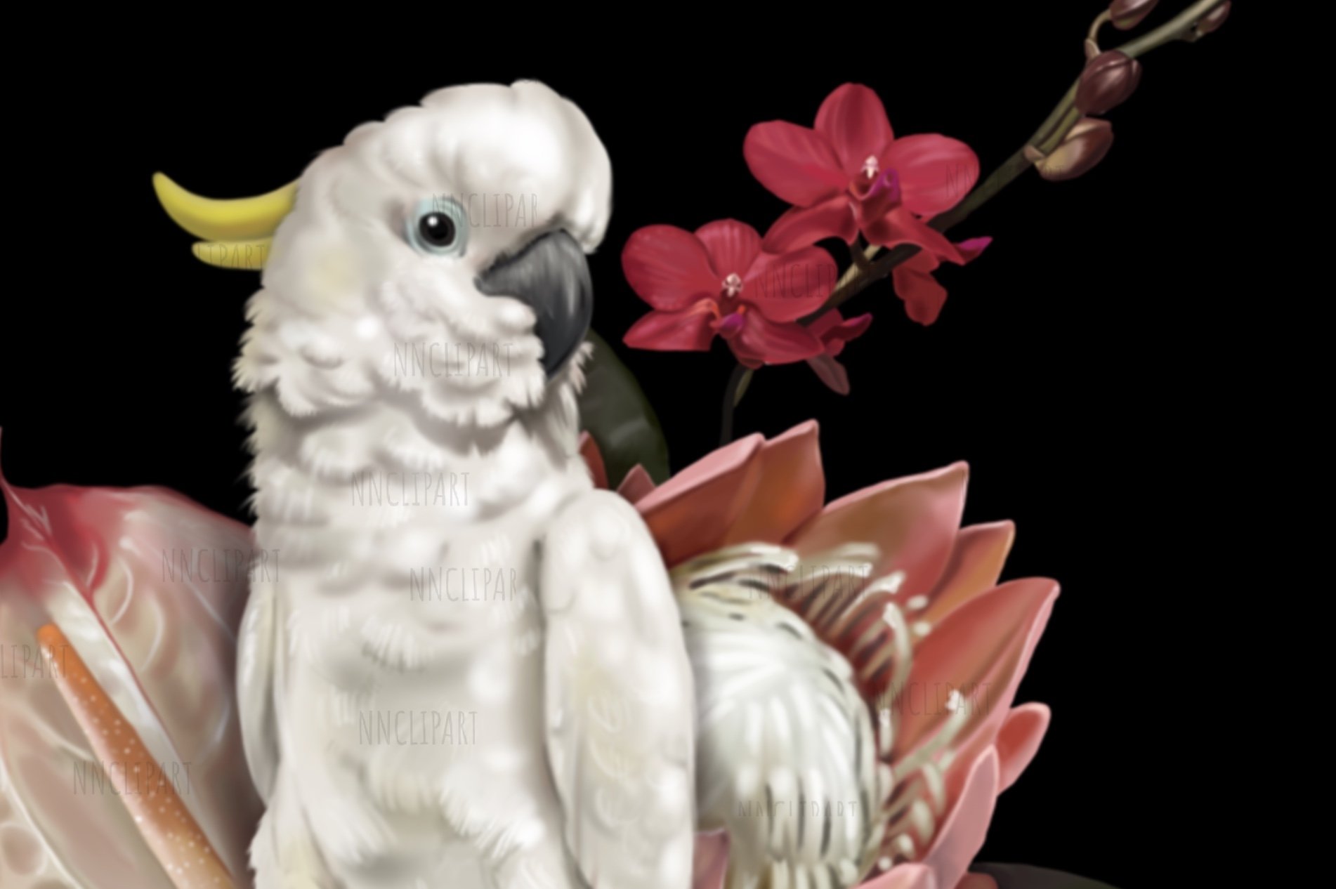 Delicate white cockatoo with flowers.