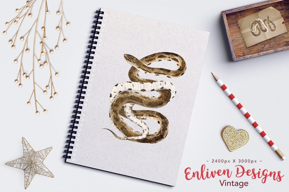 Notebook with an unusual print of a colorful eastern pine snake.