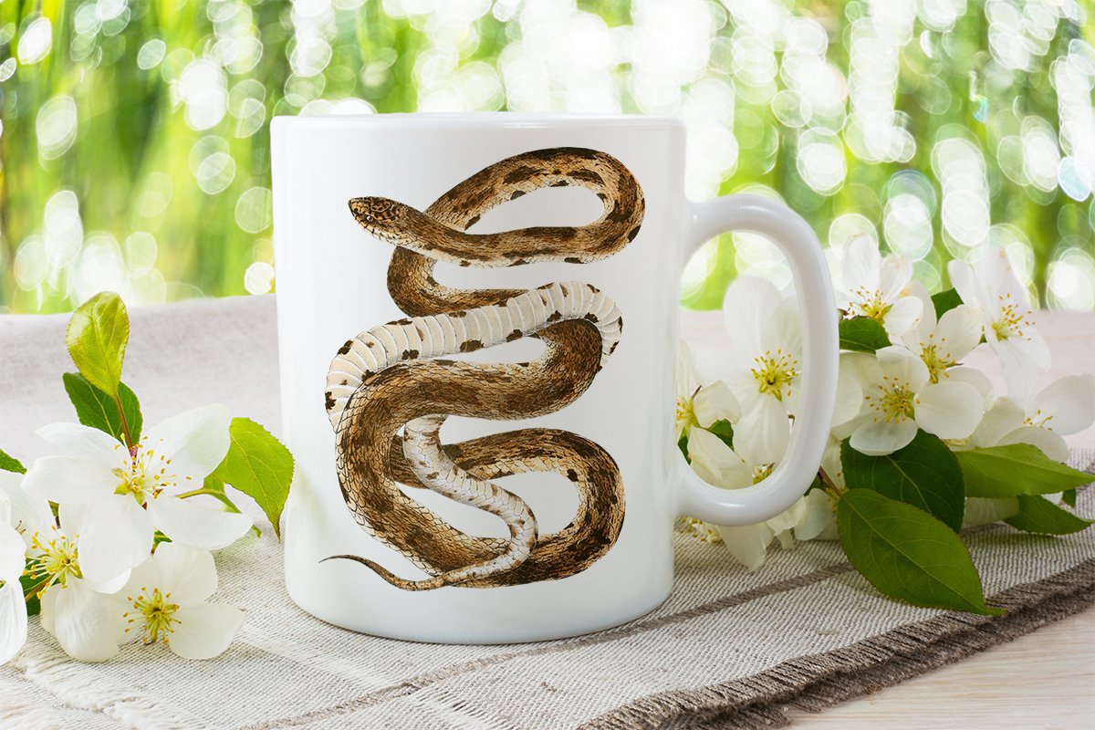 White cup with a bright eastern pine snake.