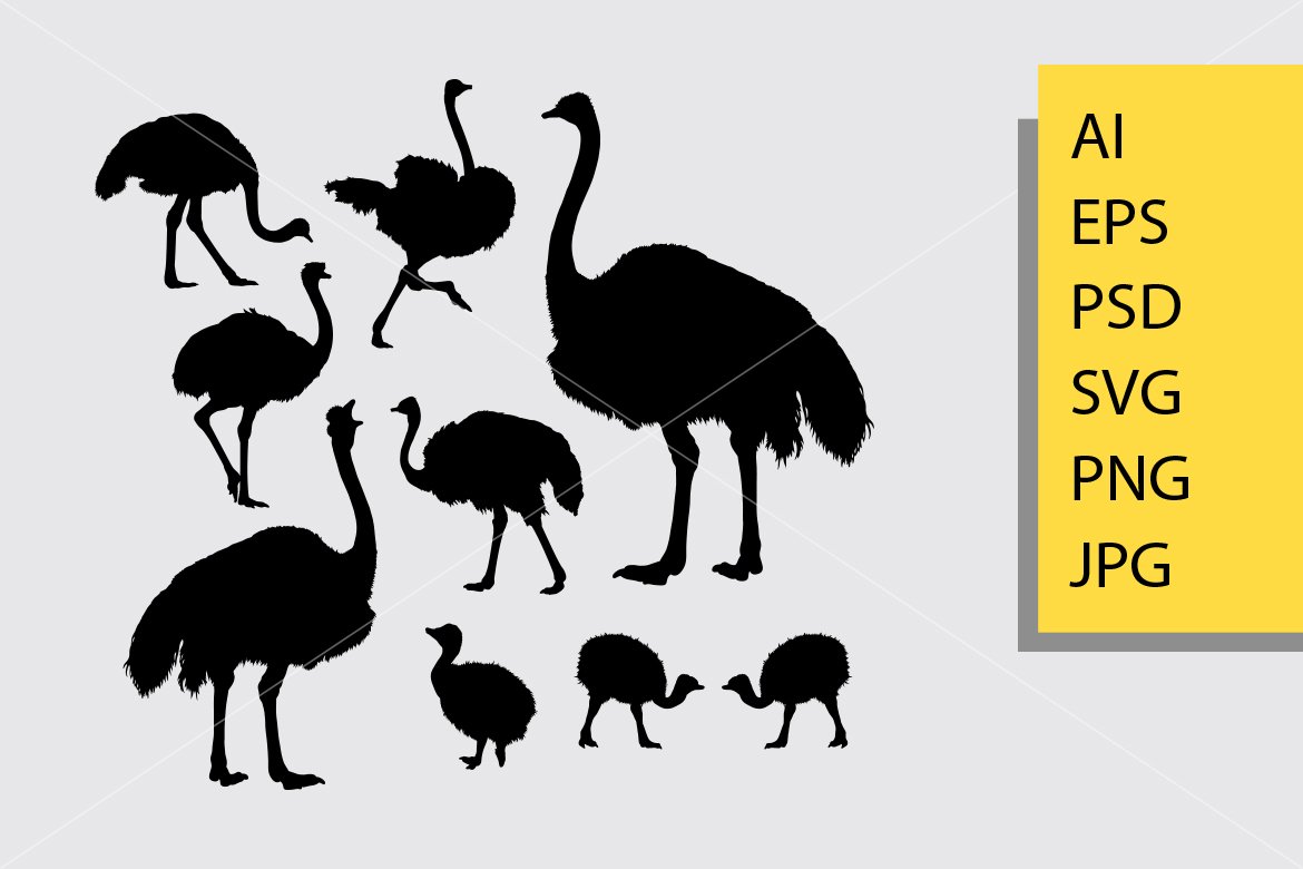 Silhouette ostriches collection.