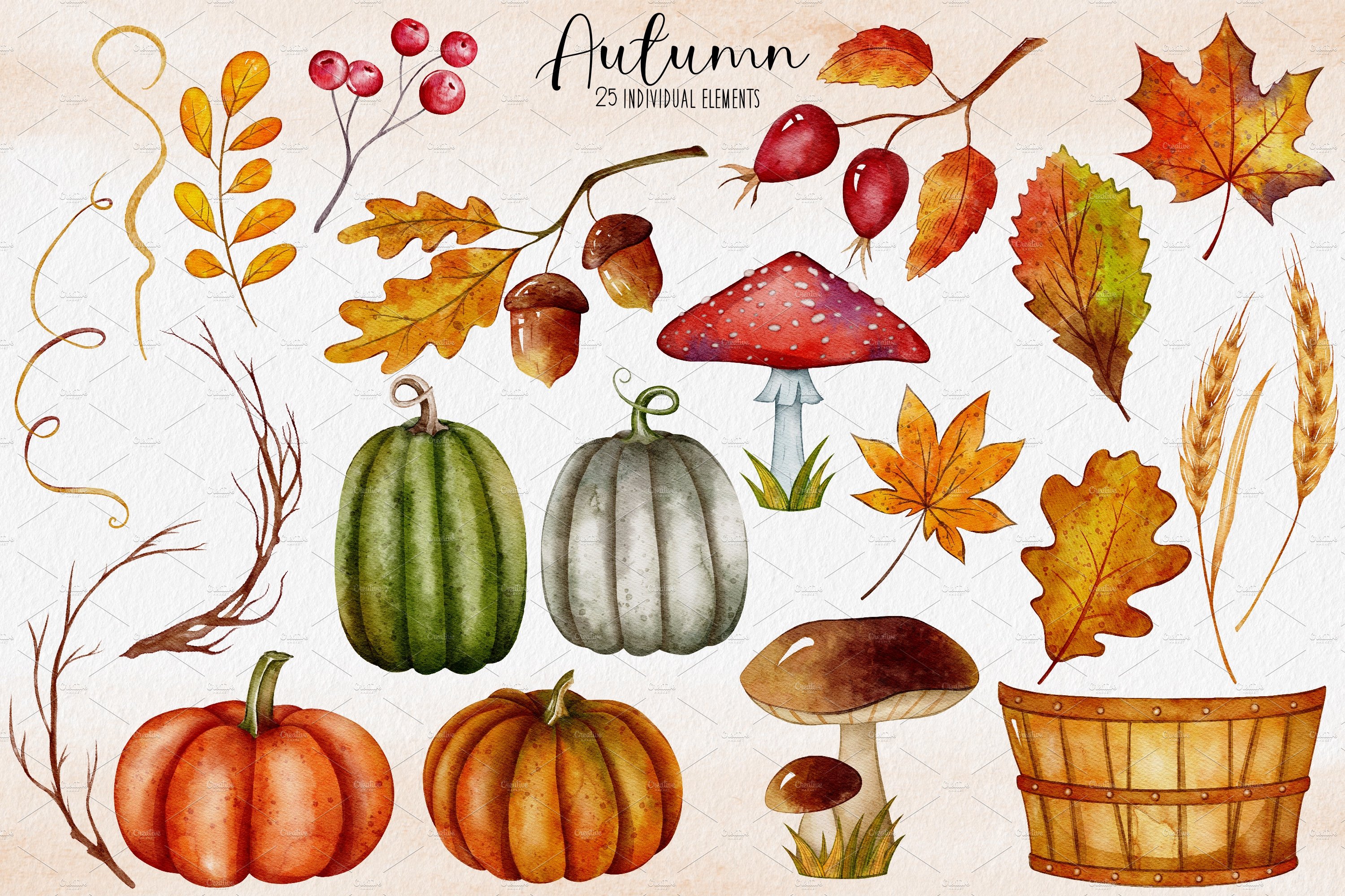 High quality watercolor autumn set.