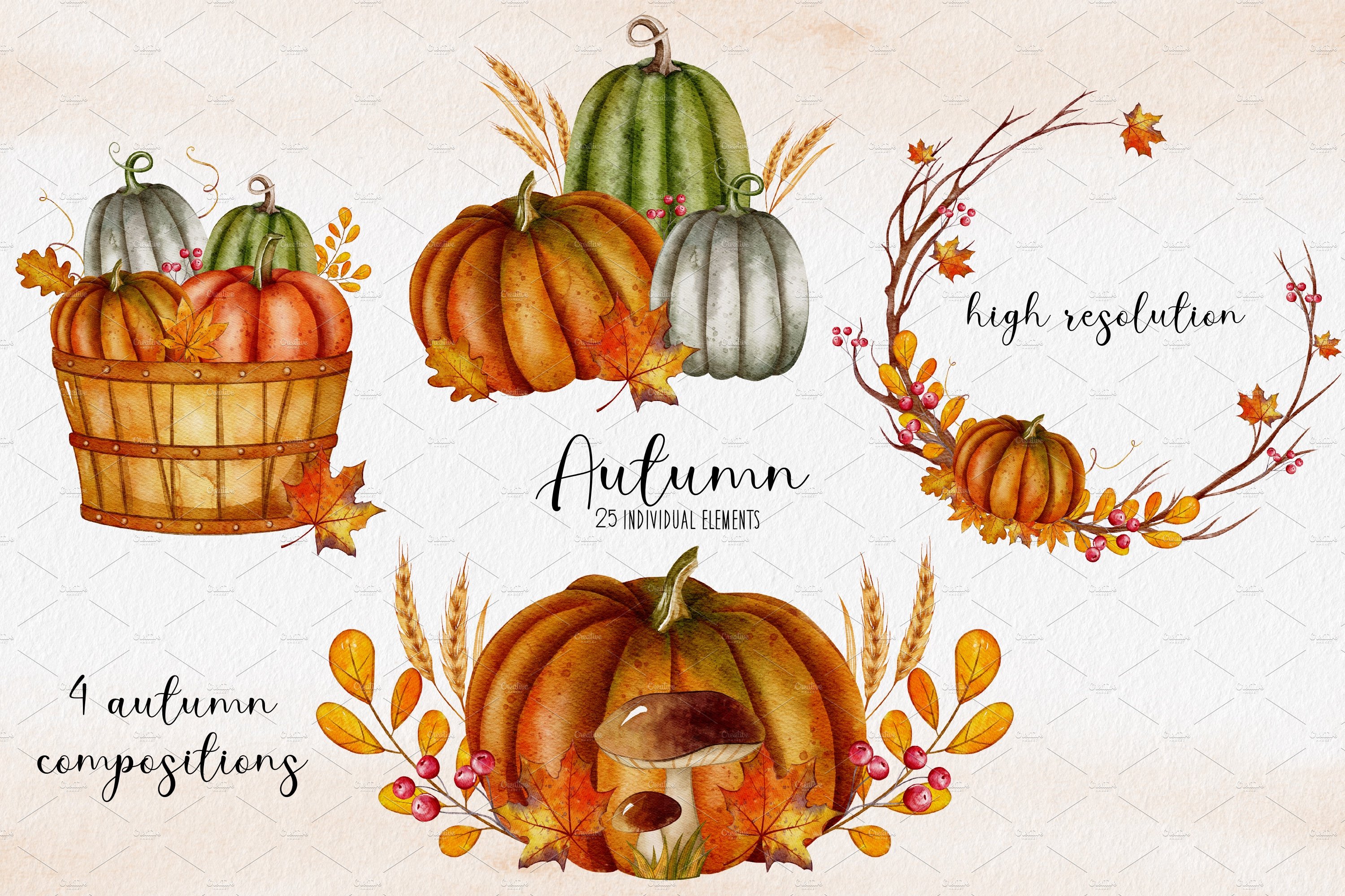 Perfect autumn choice for the thematic illustration.