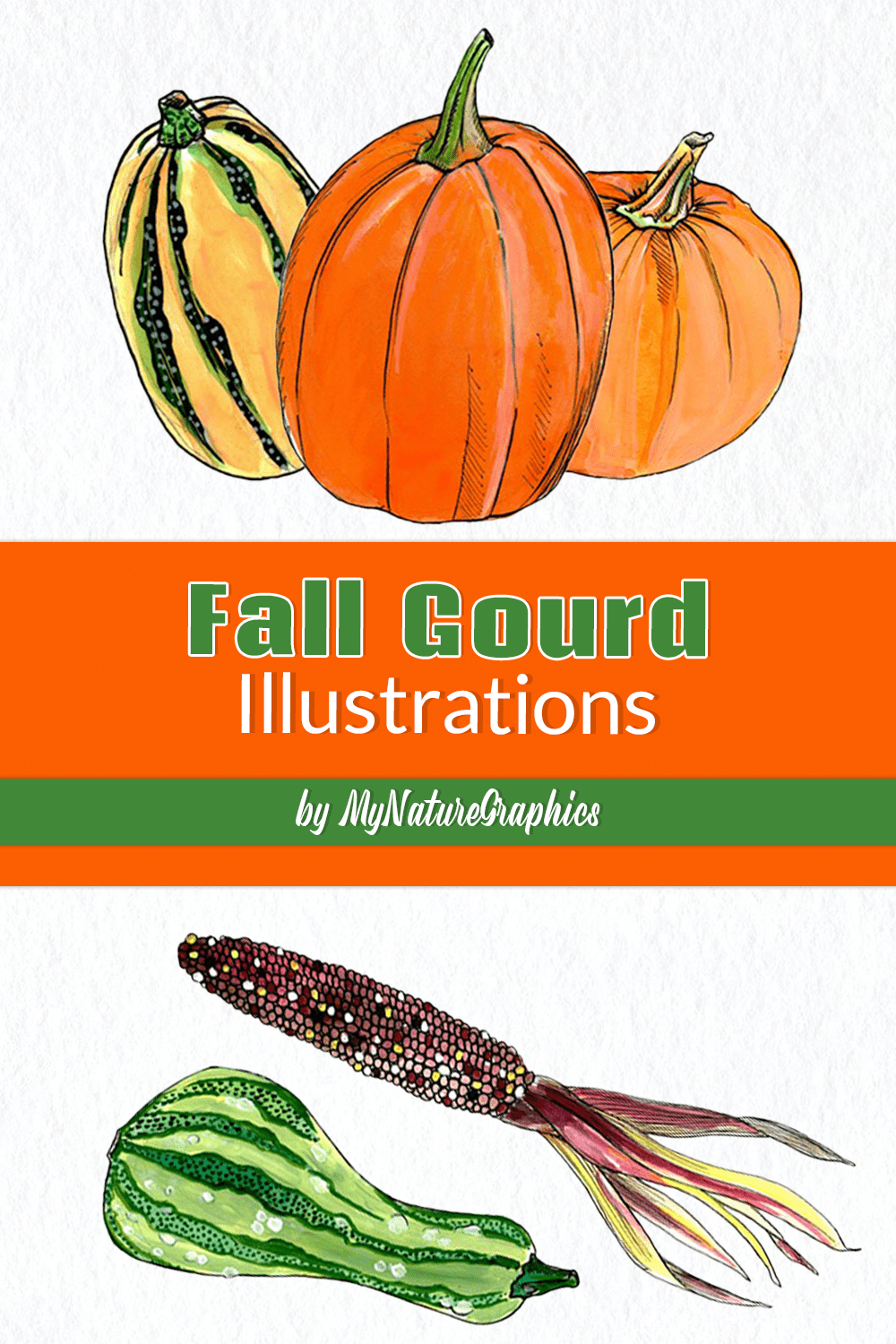 fall gourd illustrations pinterest