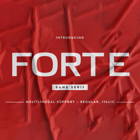 Forte Sans Serif Font main cover.