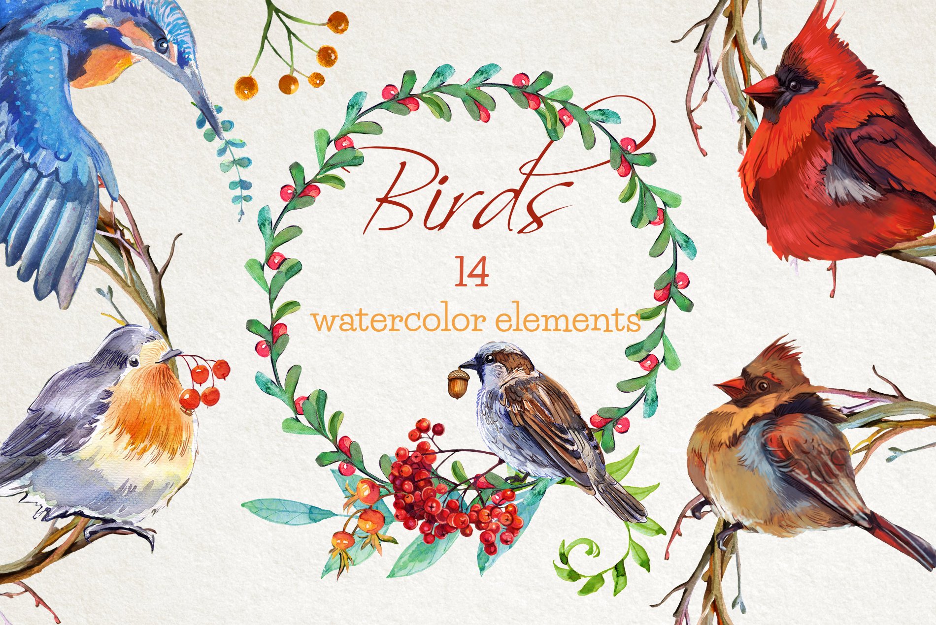 Cool bright birds collection.