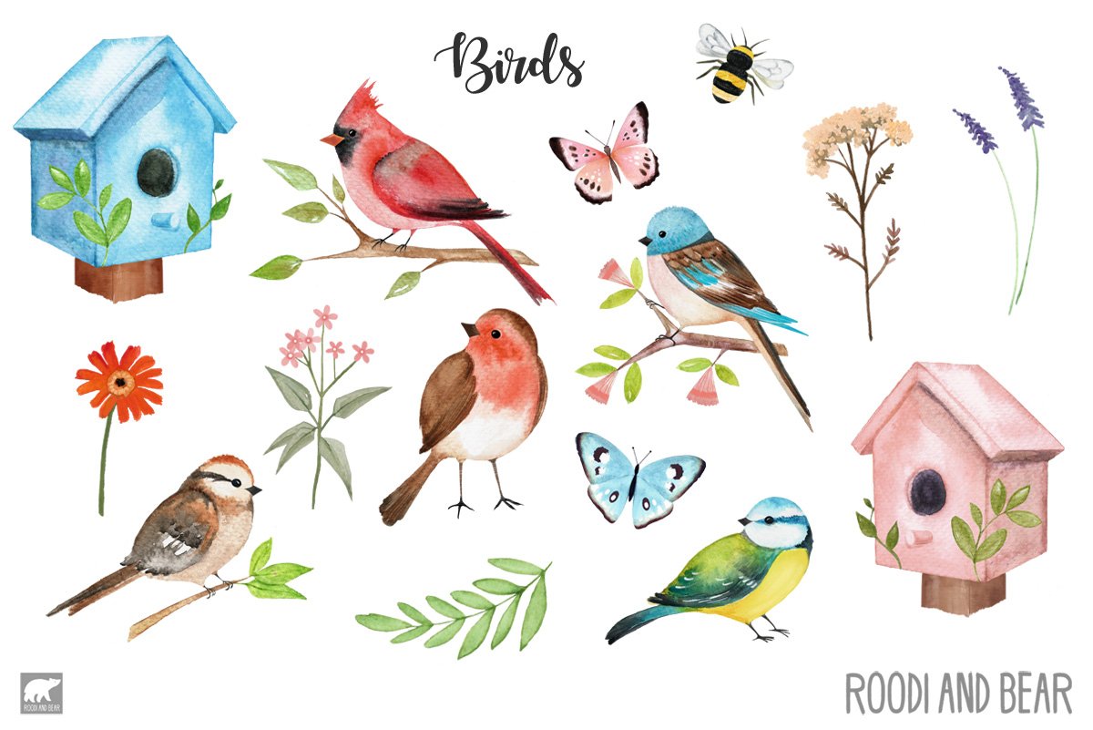 So beautiful diverse of birds.