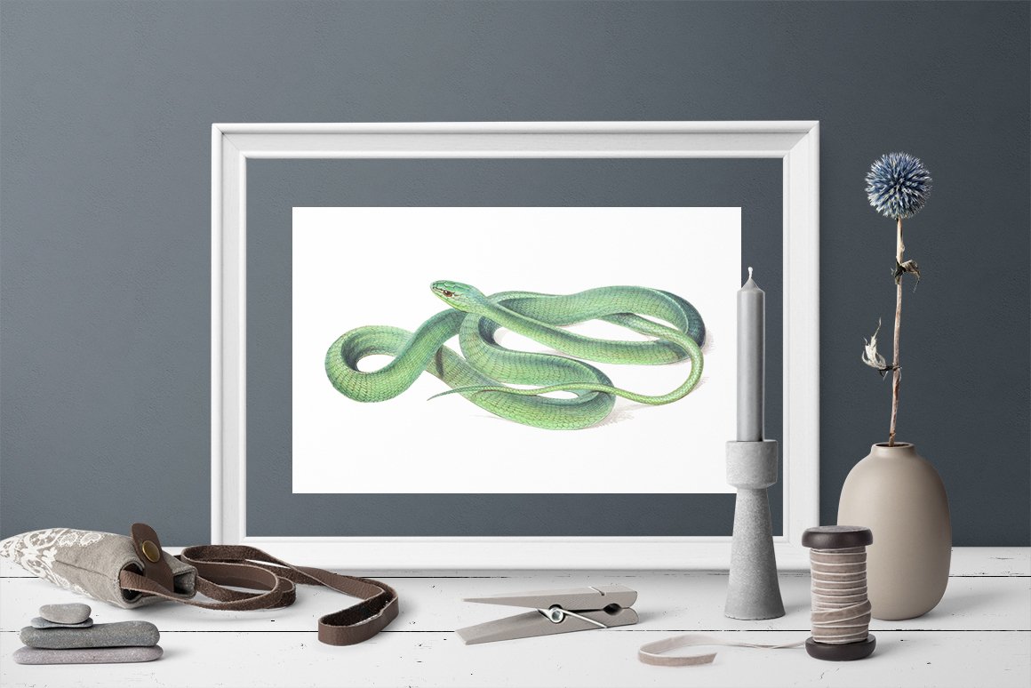 Modern framed picture of a mesmerizing green snake.