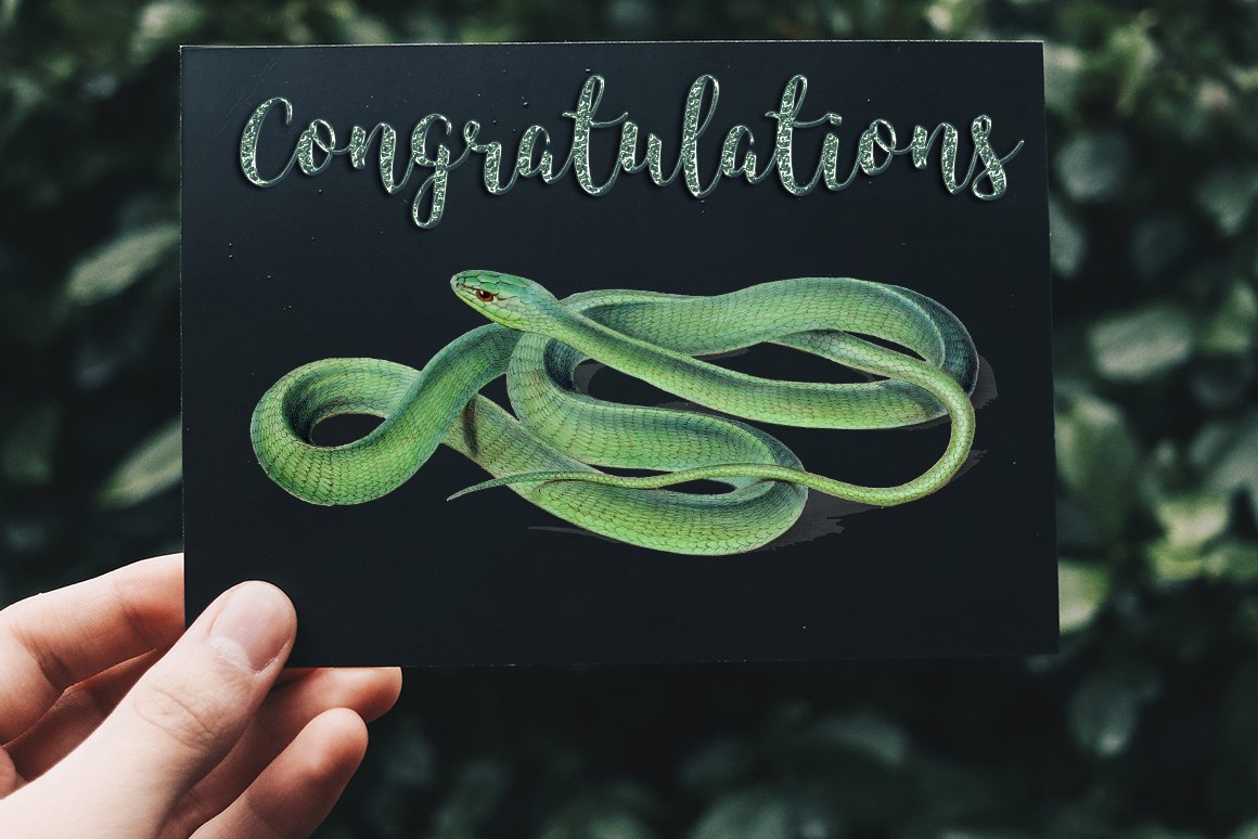 Greeting card with a picture of a big green snake.