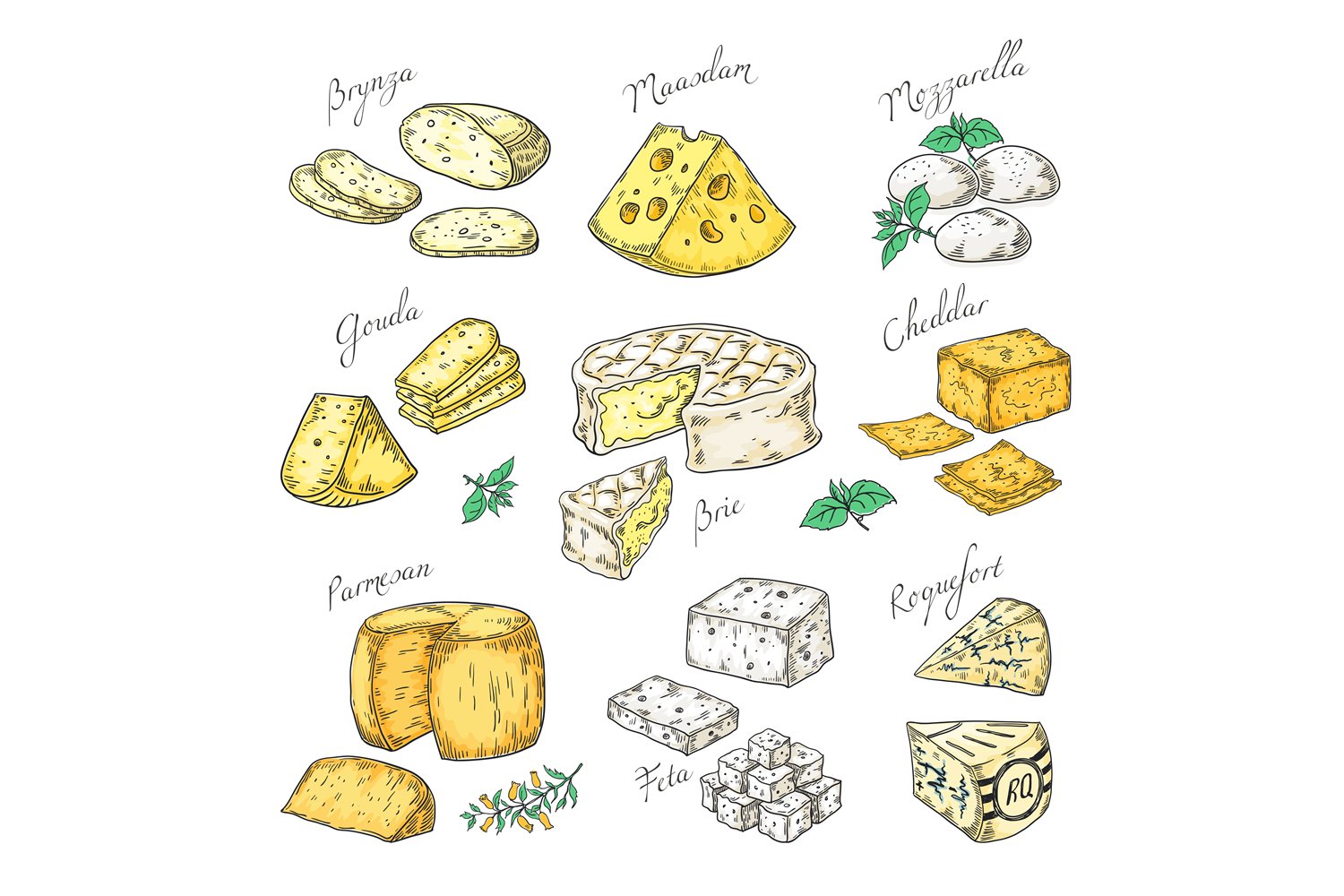 A pack of exquisite images of various types of cheese.