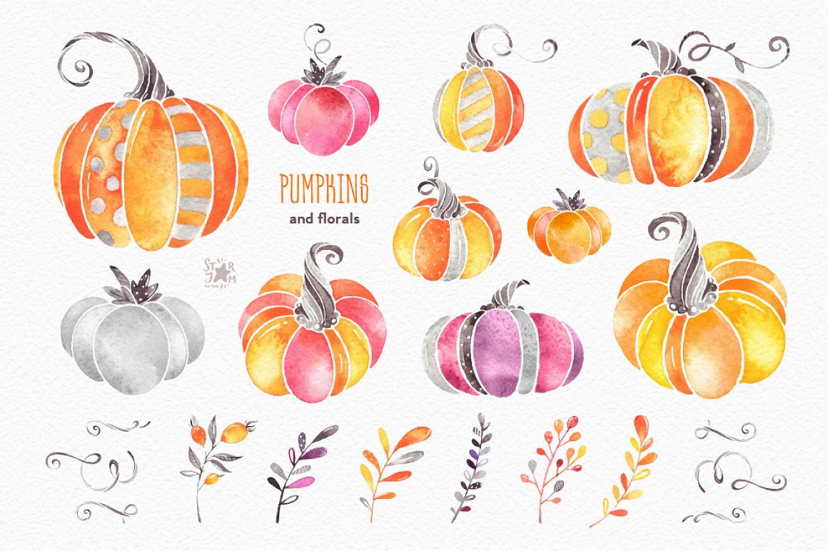 Diverse of colorful pumpkins.