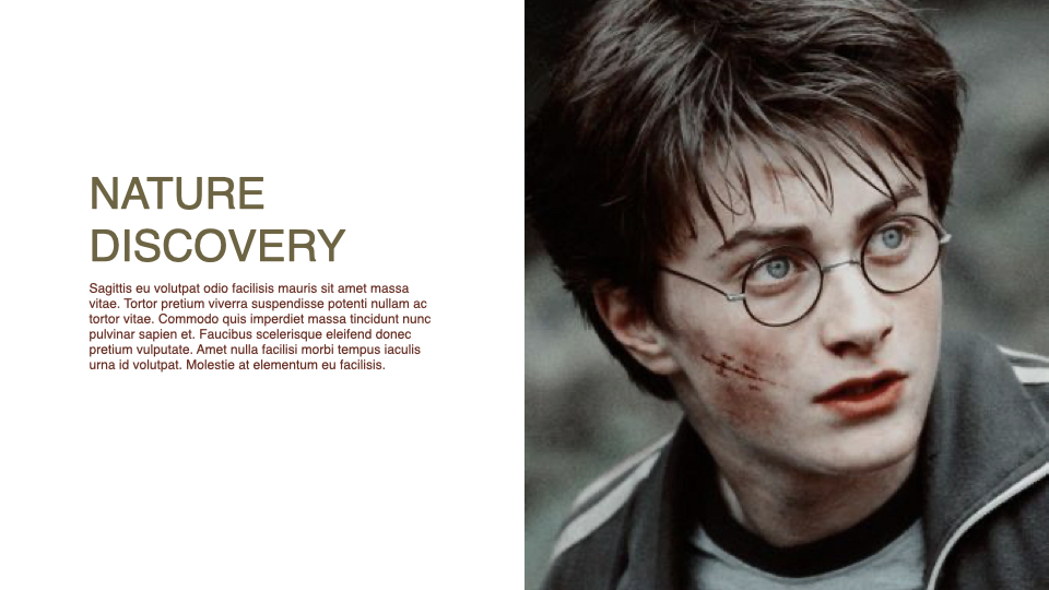 Harry Potter image with text section.