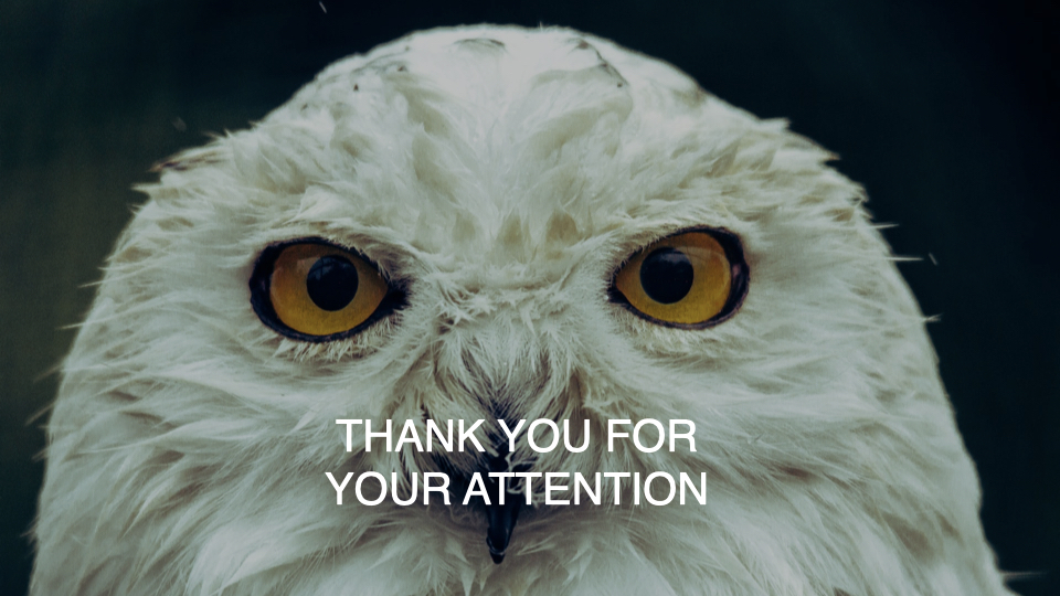 Wise white owl with a white font.