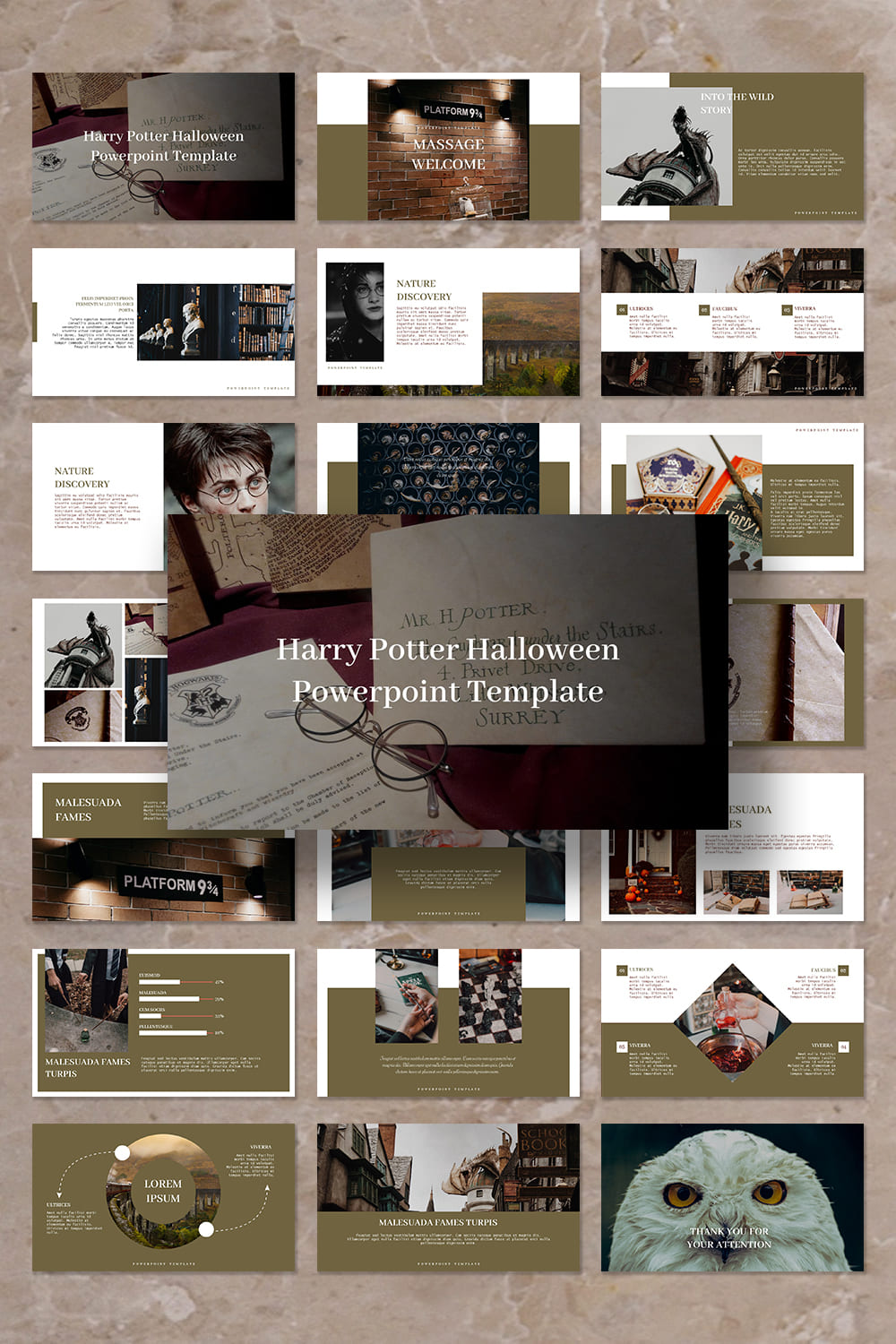 Collage of presentation pages with photos from the world of Harry Potter.