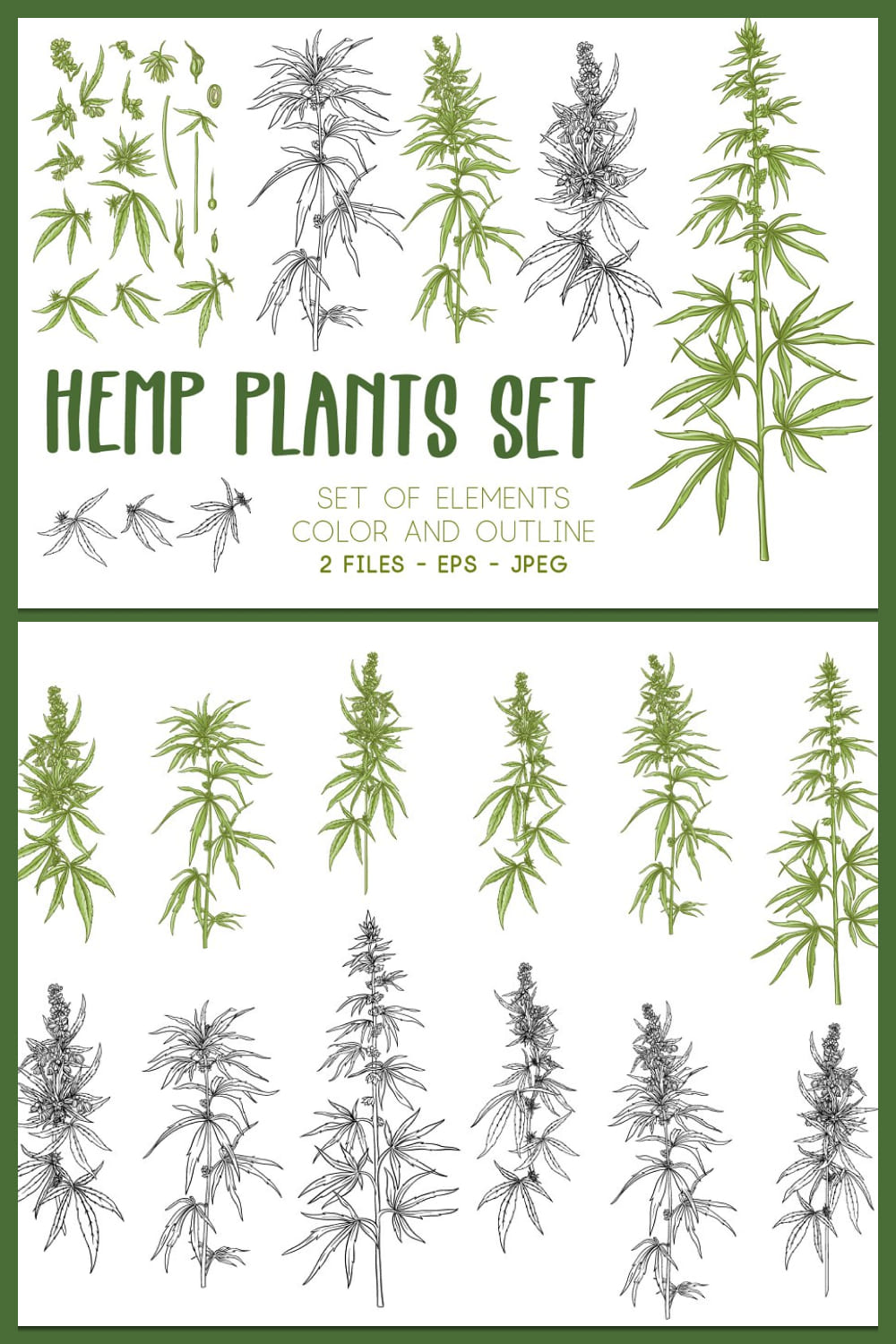 Hemp Plants Set. Color And Outline - Pinterest.