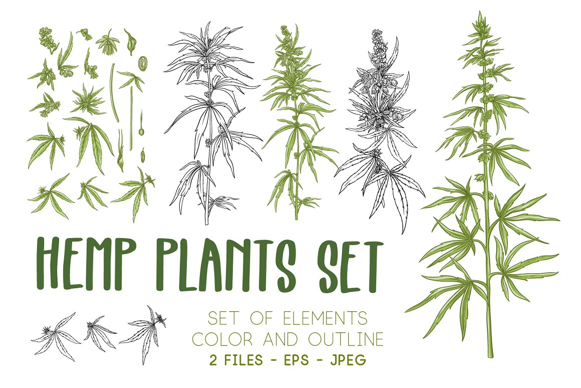 The lettering "Hemp Plants Set" with different image hemp plants.