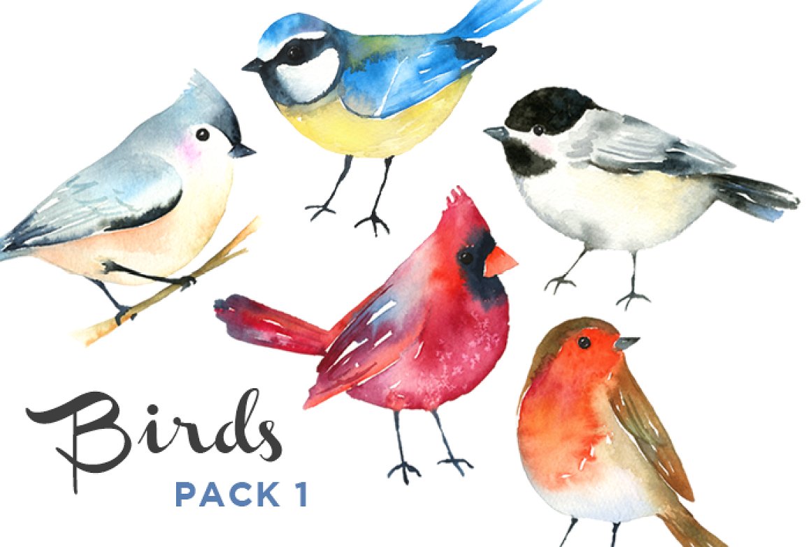 Watercolor bright birds.
