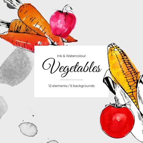 Ink & Watercolour Vegetables.