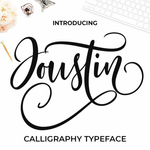 Joustin Script Font cover image.