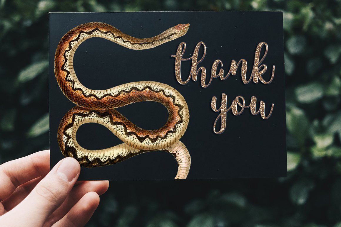 Thank you card with the image of a large leioheterodon de sganzin.