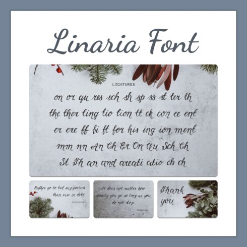 Linaria Font.
