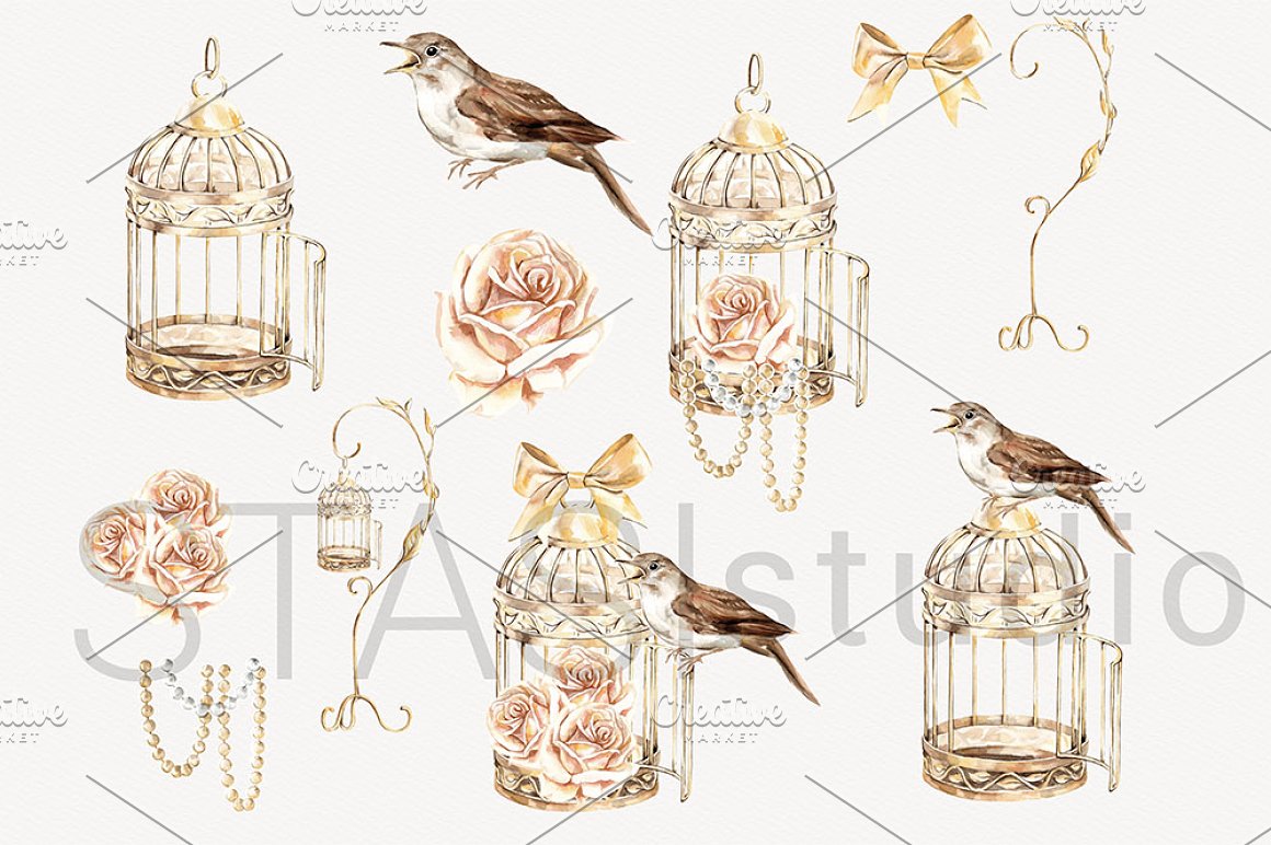 Options of cages and nightingales for your composition.