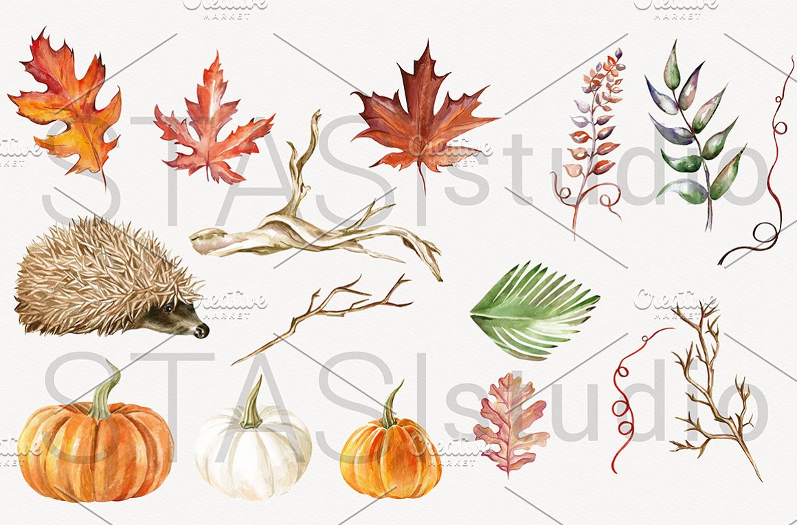 Diverse of autumn elements.