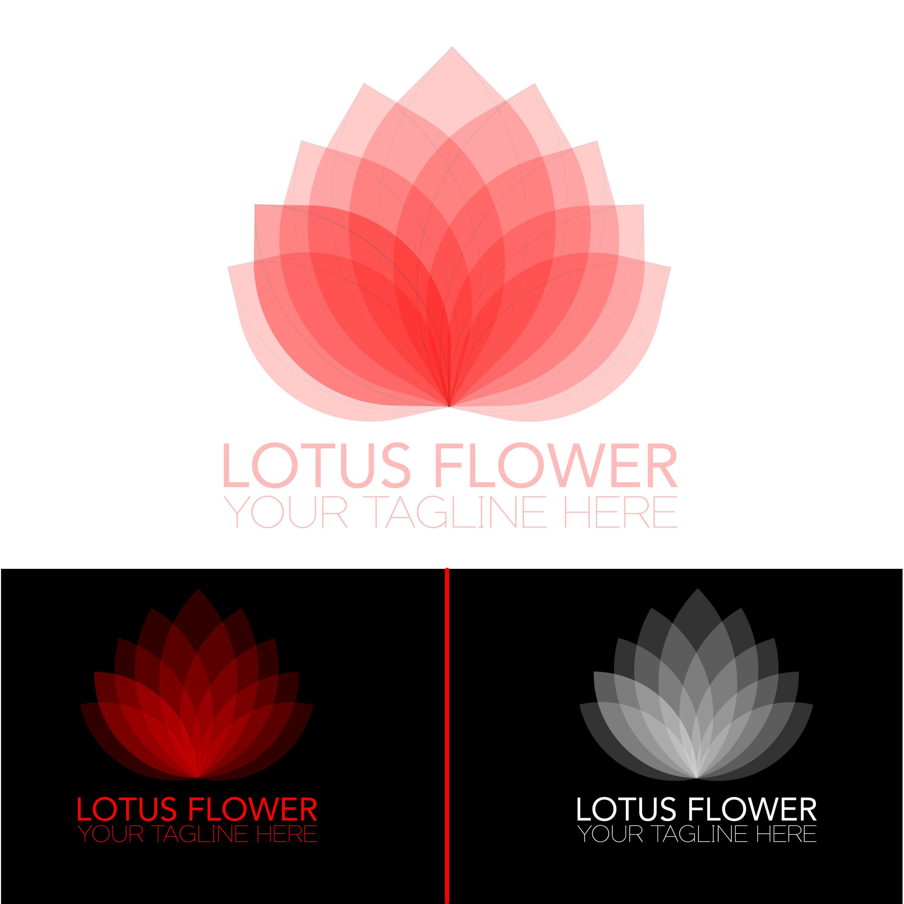 Lotus Flower Logo Collection in Different colors cover image.