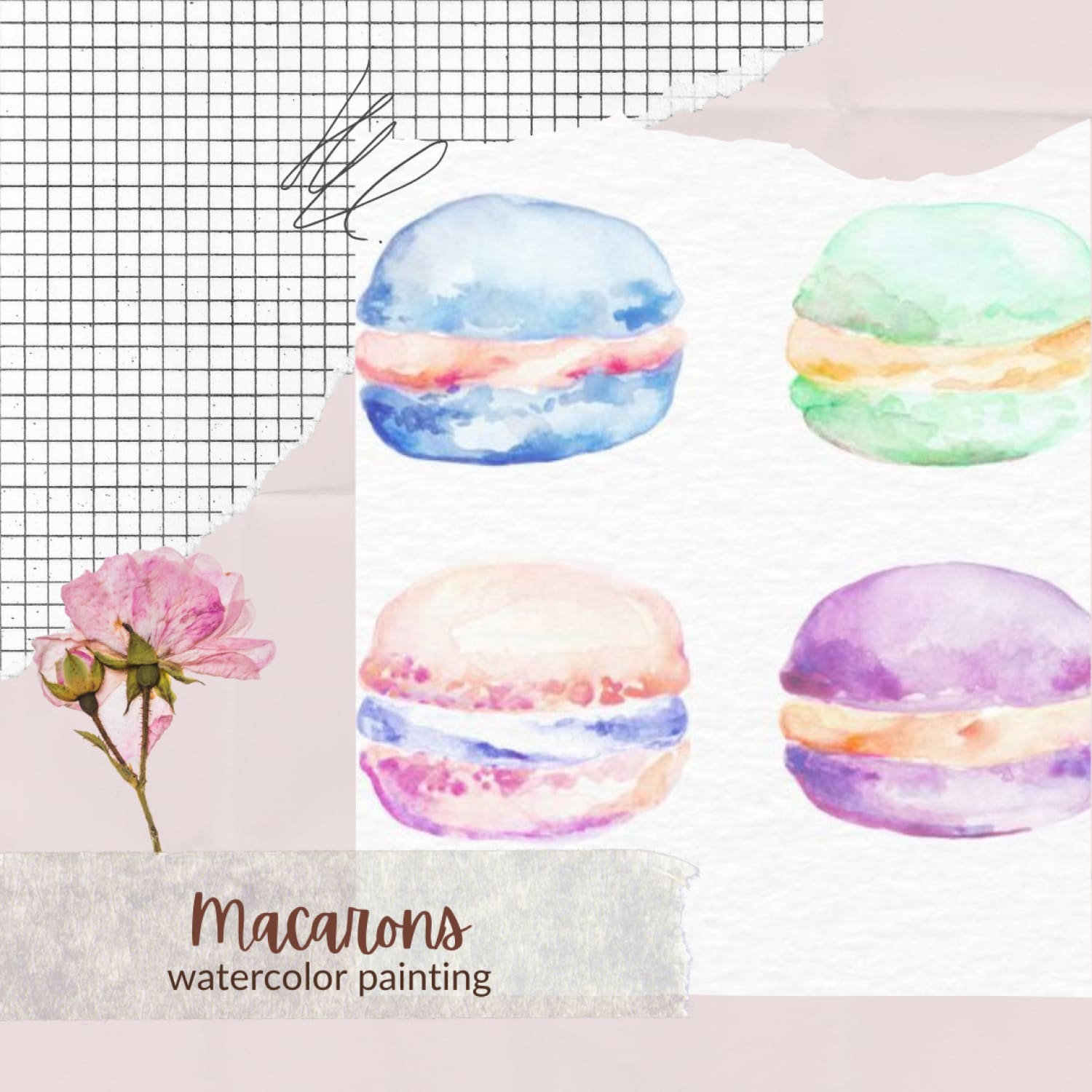 Macarons Watercolor Painting.