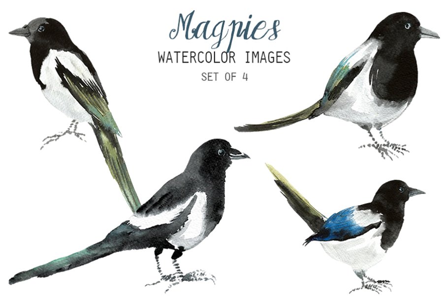 Cover image of Watercolor Magpies Clipart.