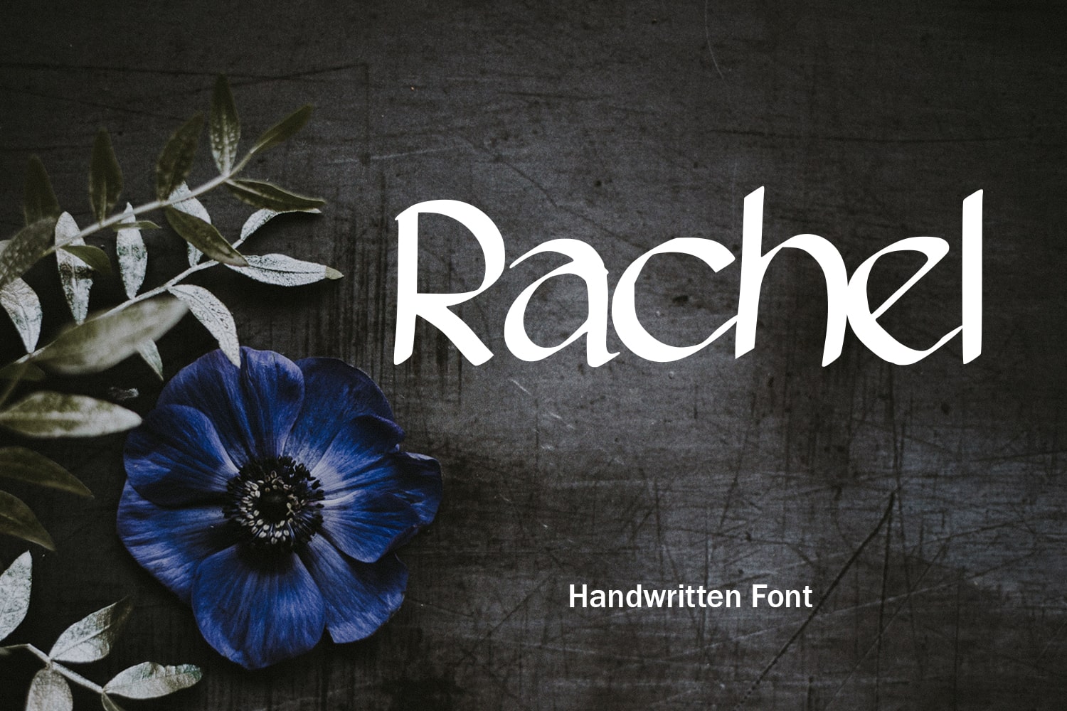 Black matte background with blue flower and cool white font.