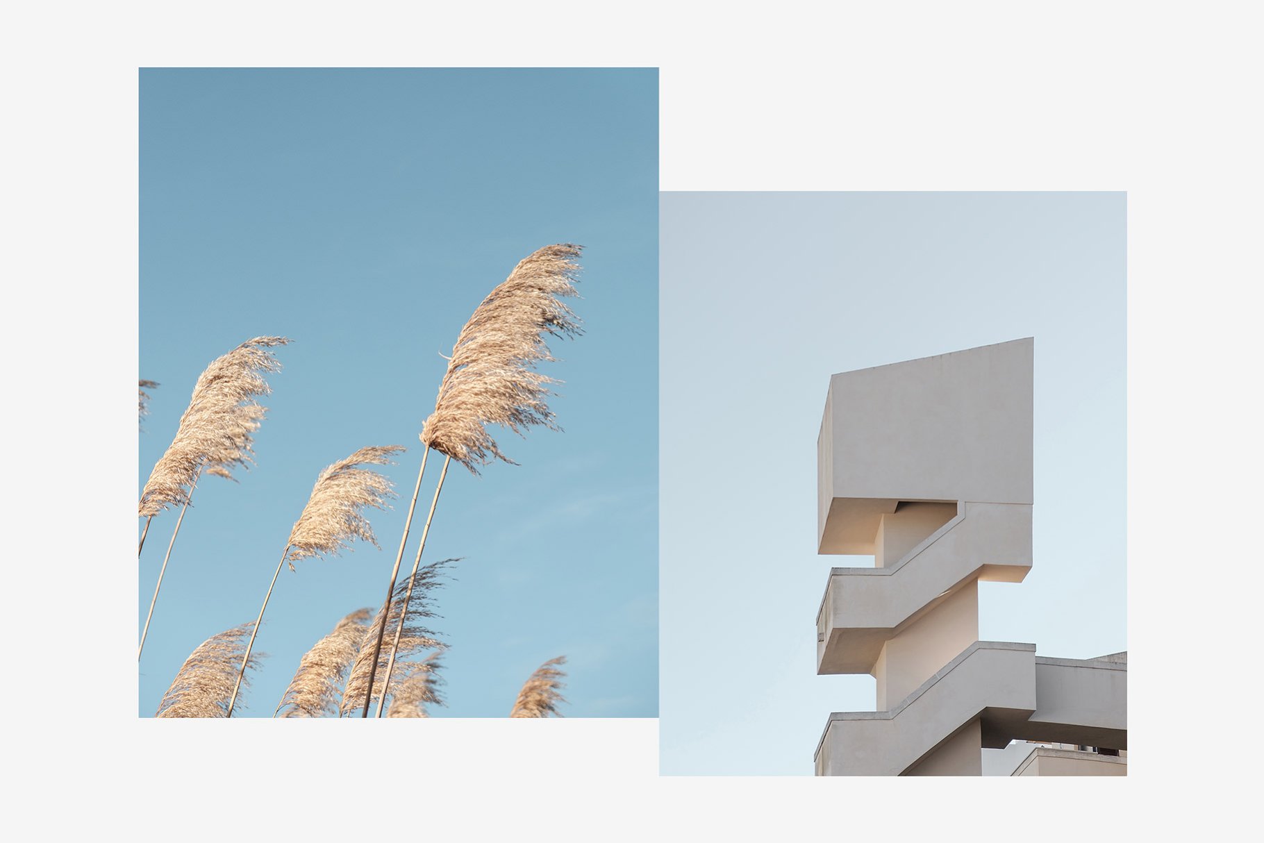 2 minimalist photos - spikelets against the sky and the facade of the building.