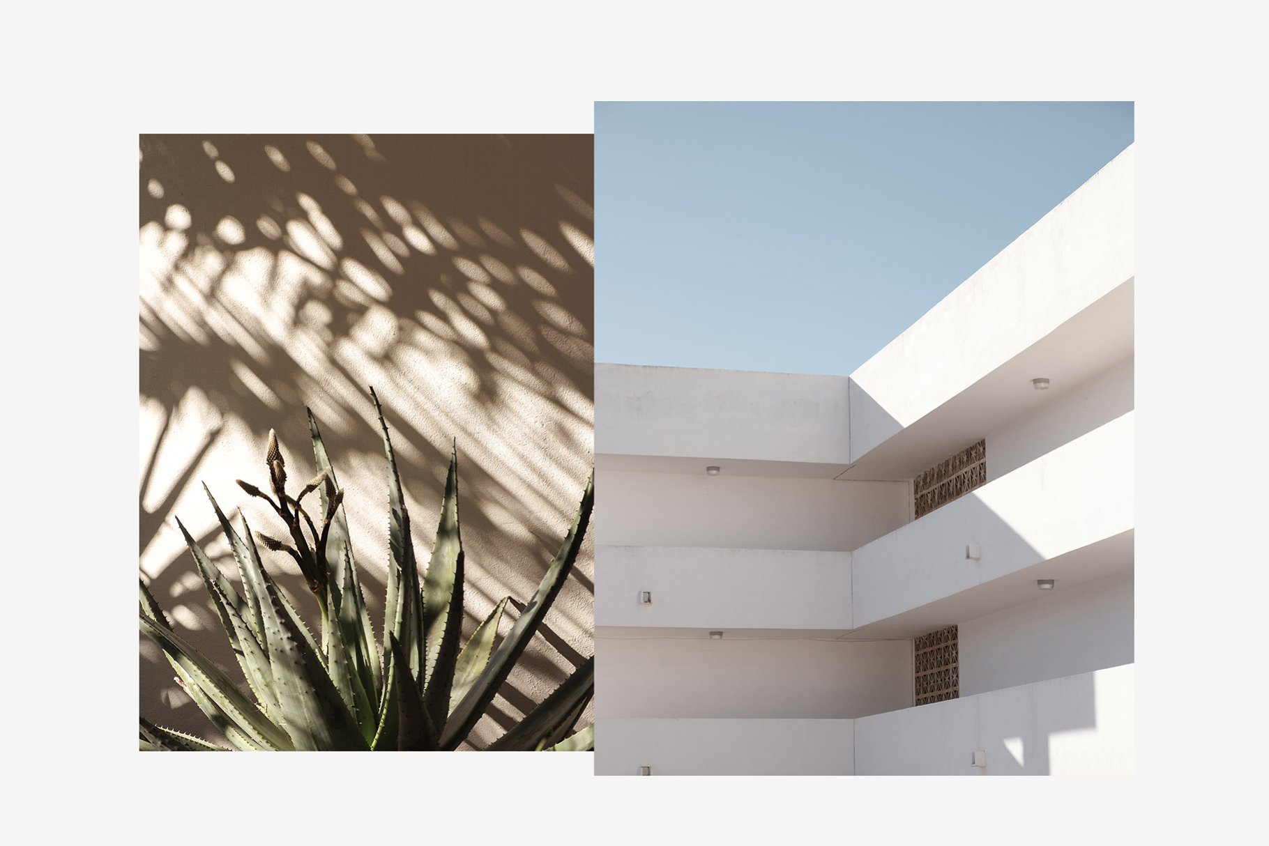 2 minimalist photos - plant and building facade - balconies.